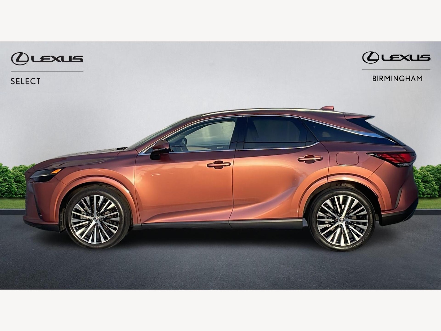 Used Lexus RX 2024 for sale - 77799487: Photo 3