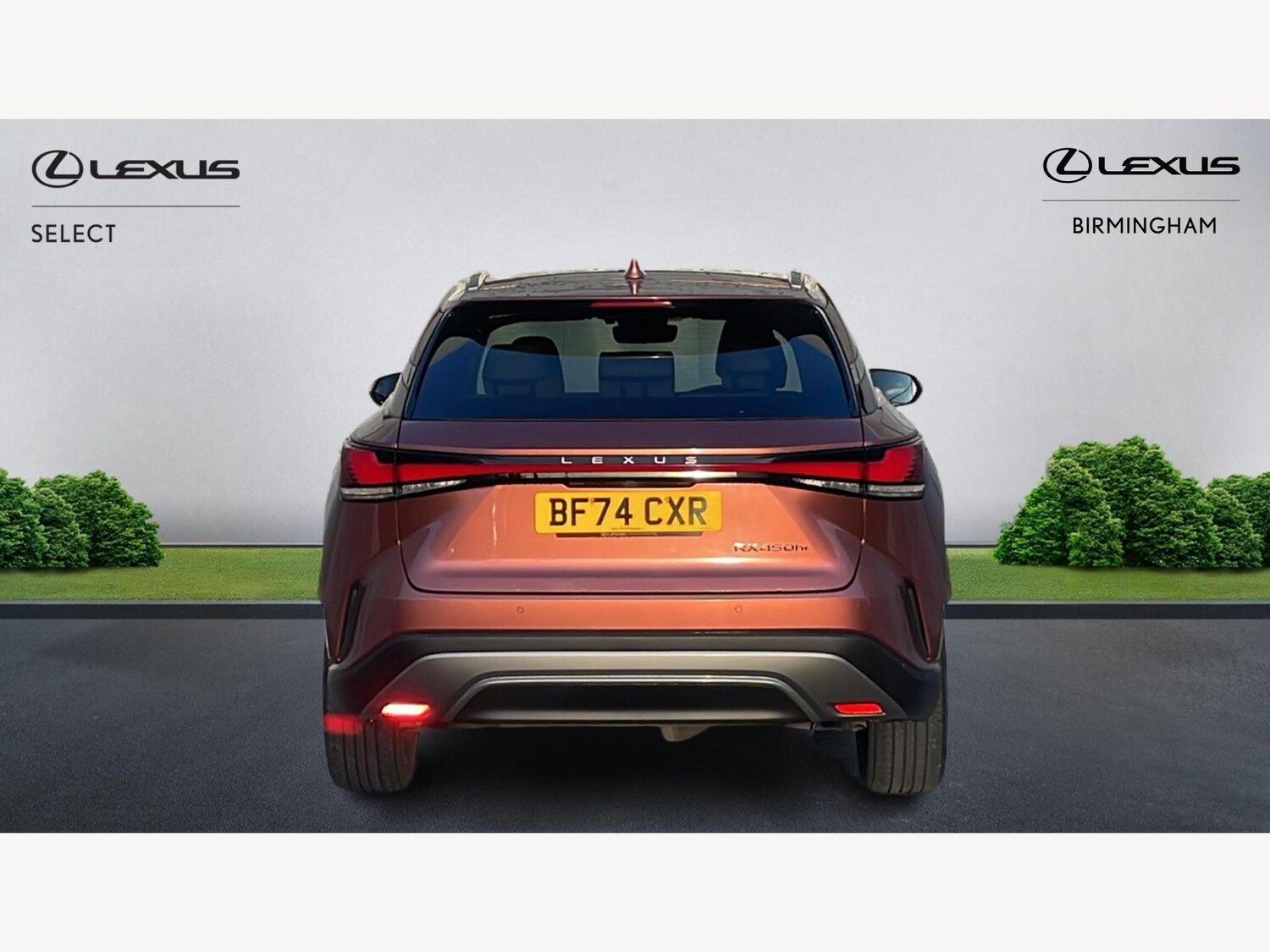 Used Lexus RX 2024 for sale - 77799487: Photo 7