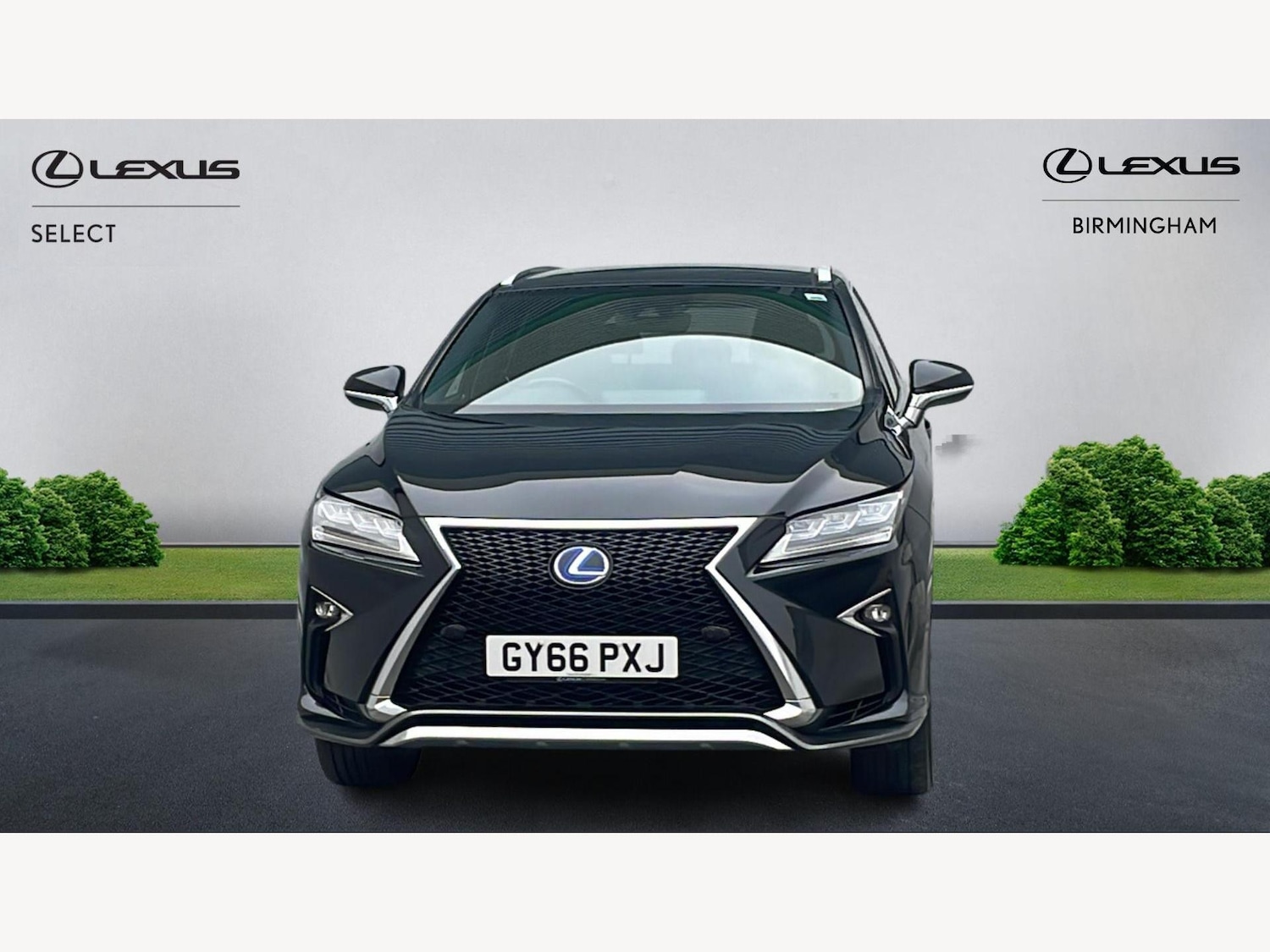 Used Lexus RX 2016 for sale - 77074668: Photo 6