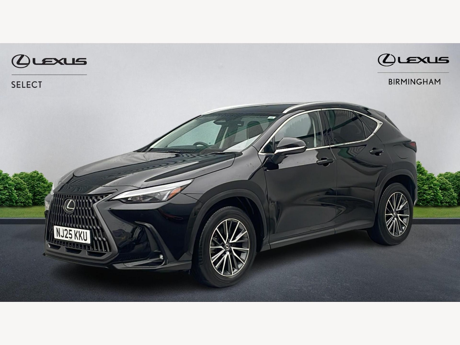 Used Lexus NX 2025 for sale - 77524755: Photo 19