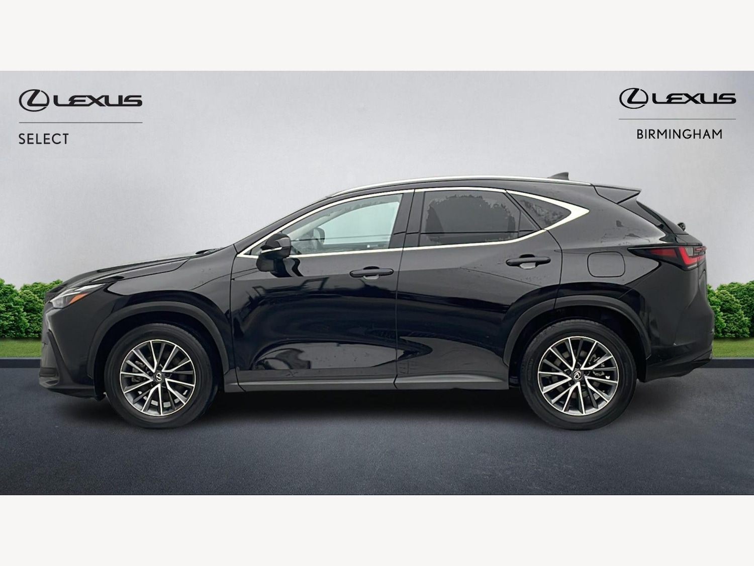 Used Lexus NX 2025 for sale - 77524755: Photo 3