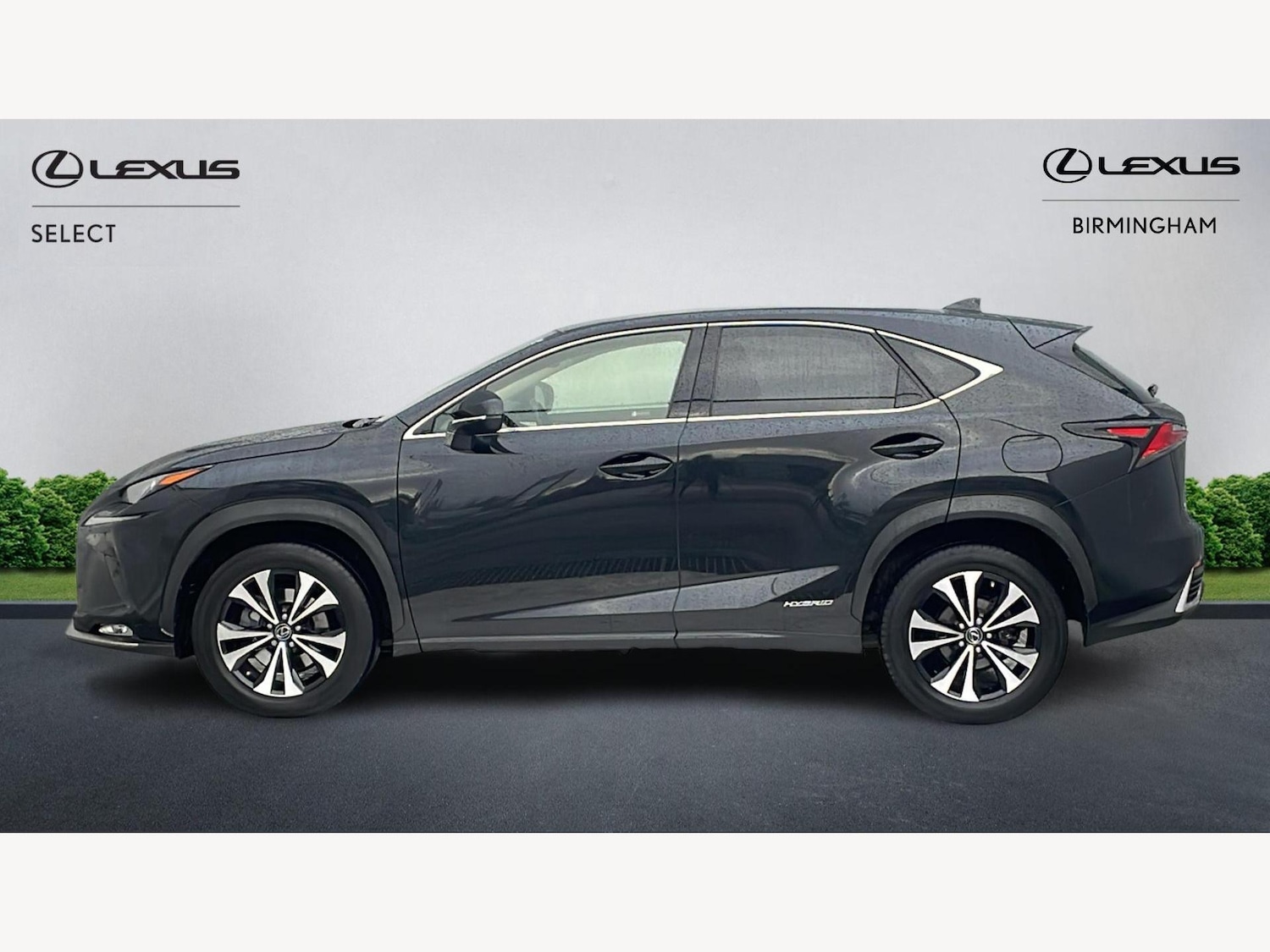 Used Lexus NX 2021 for sale - 77411439: Photo 3