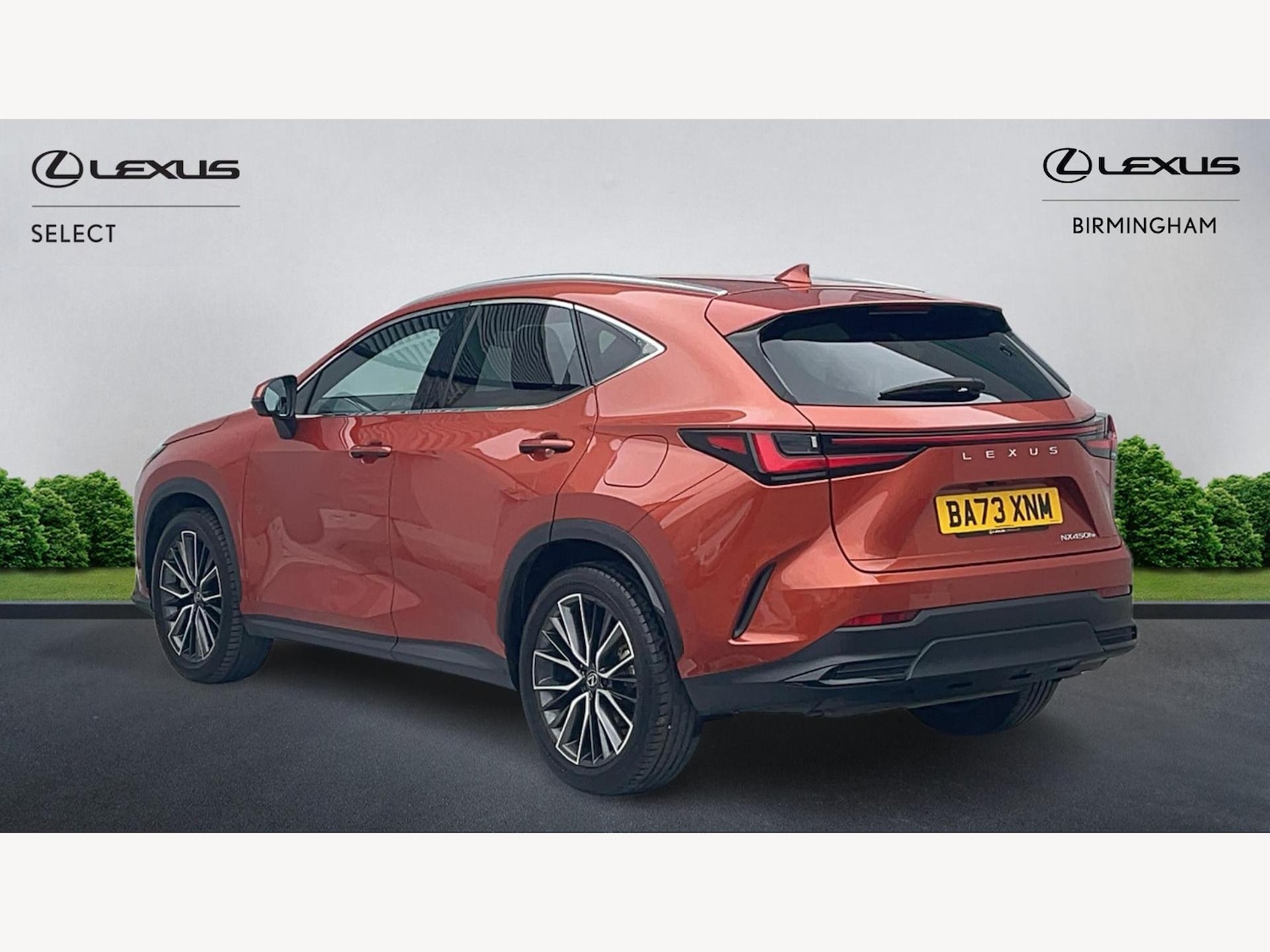Used Lexus NX 2023 for sale - 77633970: Photo 2