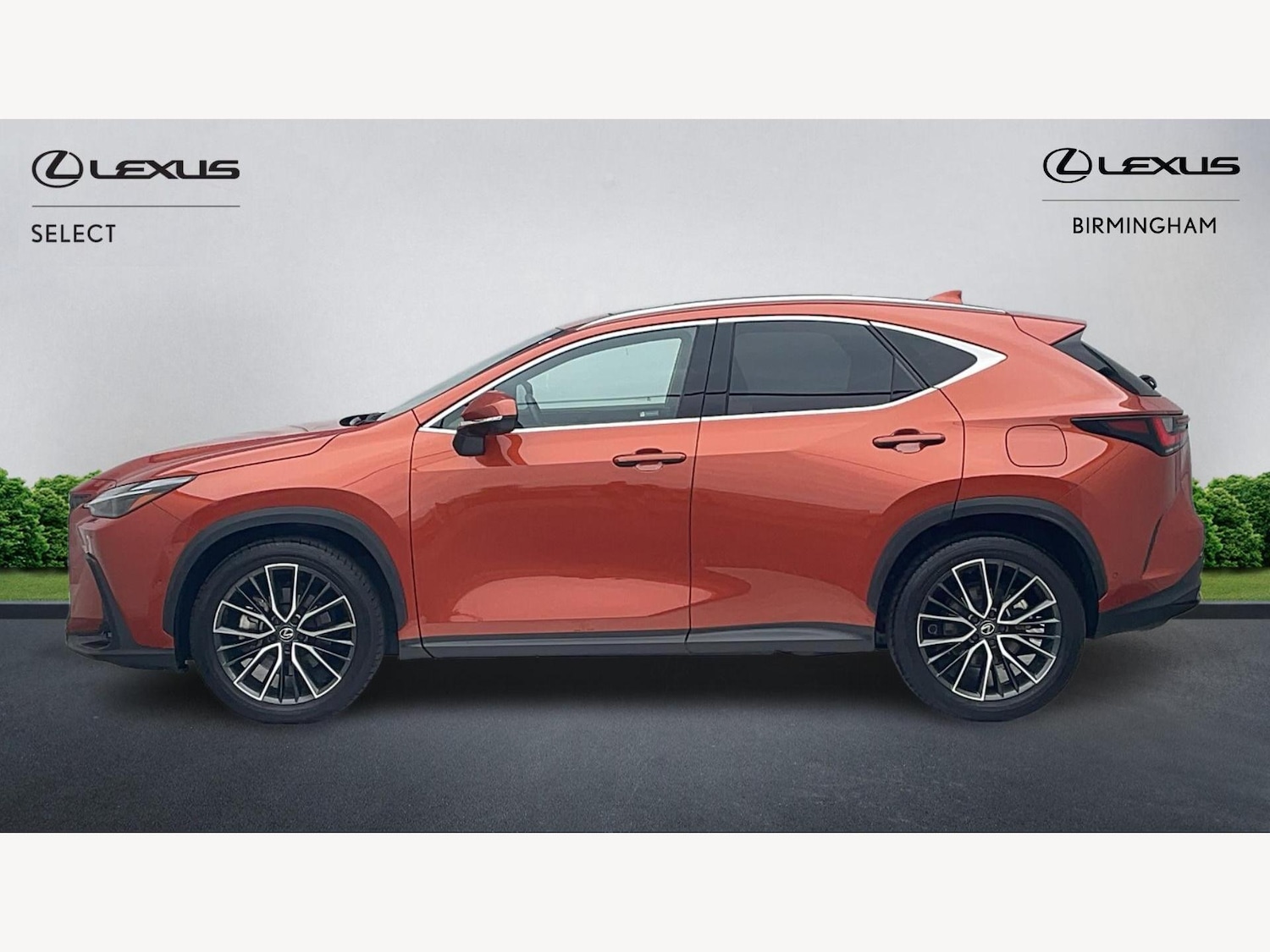 Used Lexus NX 2023 for sale - 77633970: Photo 3