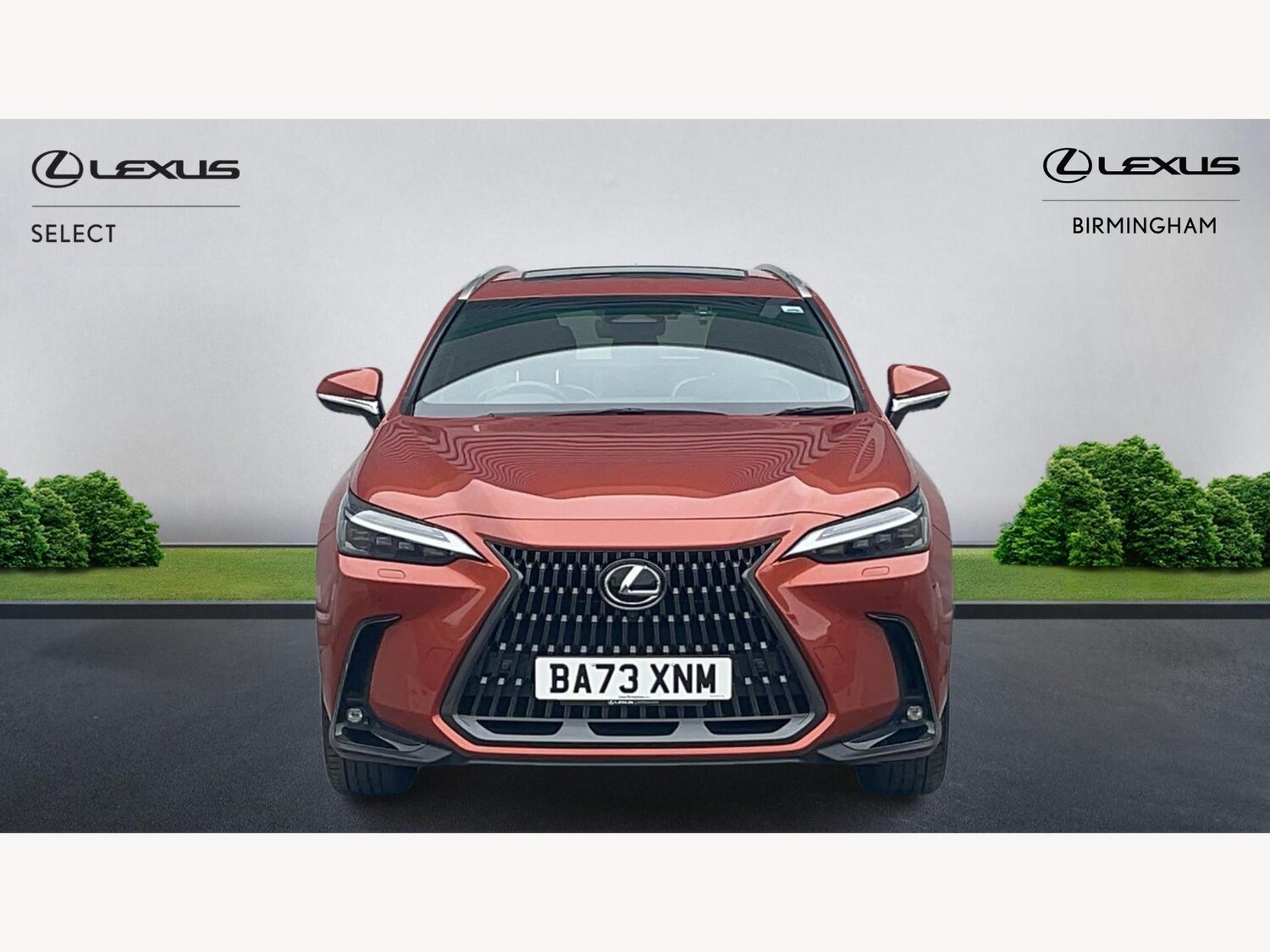 Used Lexus NX 2023 for sale - 77633970: Photo 6