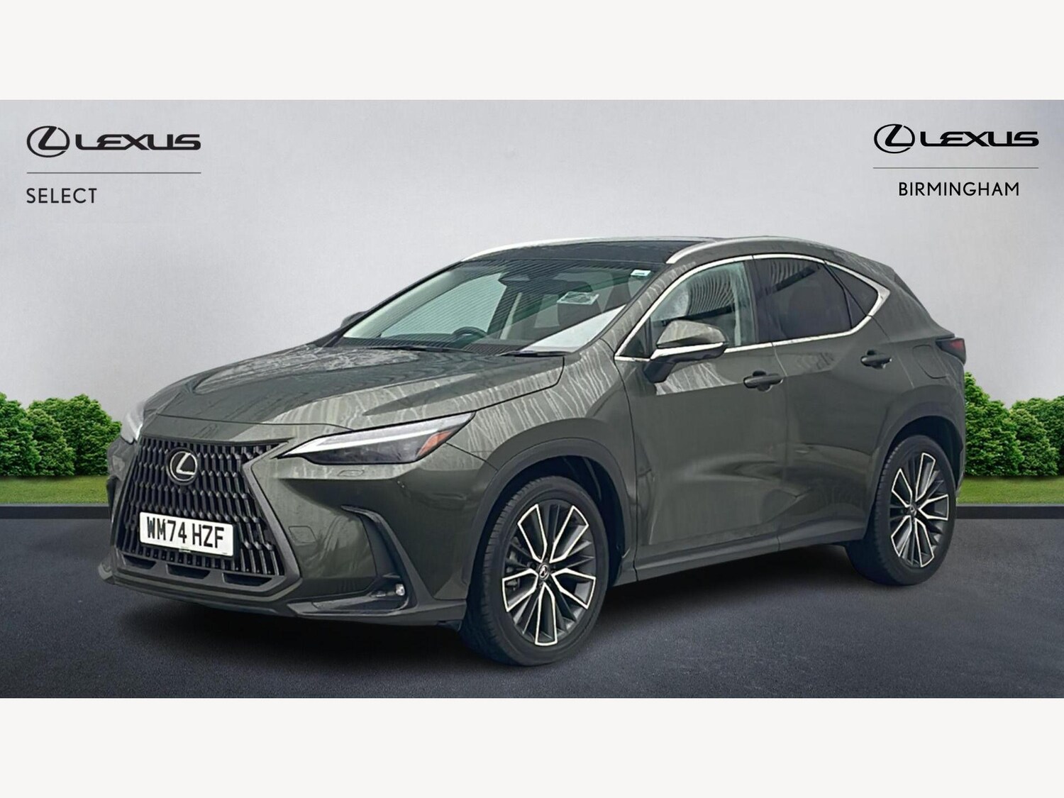 Used Lexus NX 2025 for sale - 77496381: Photo 19