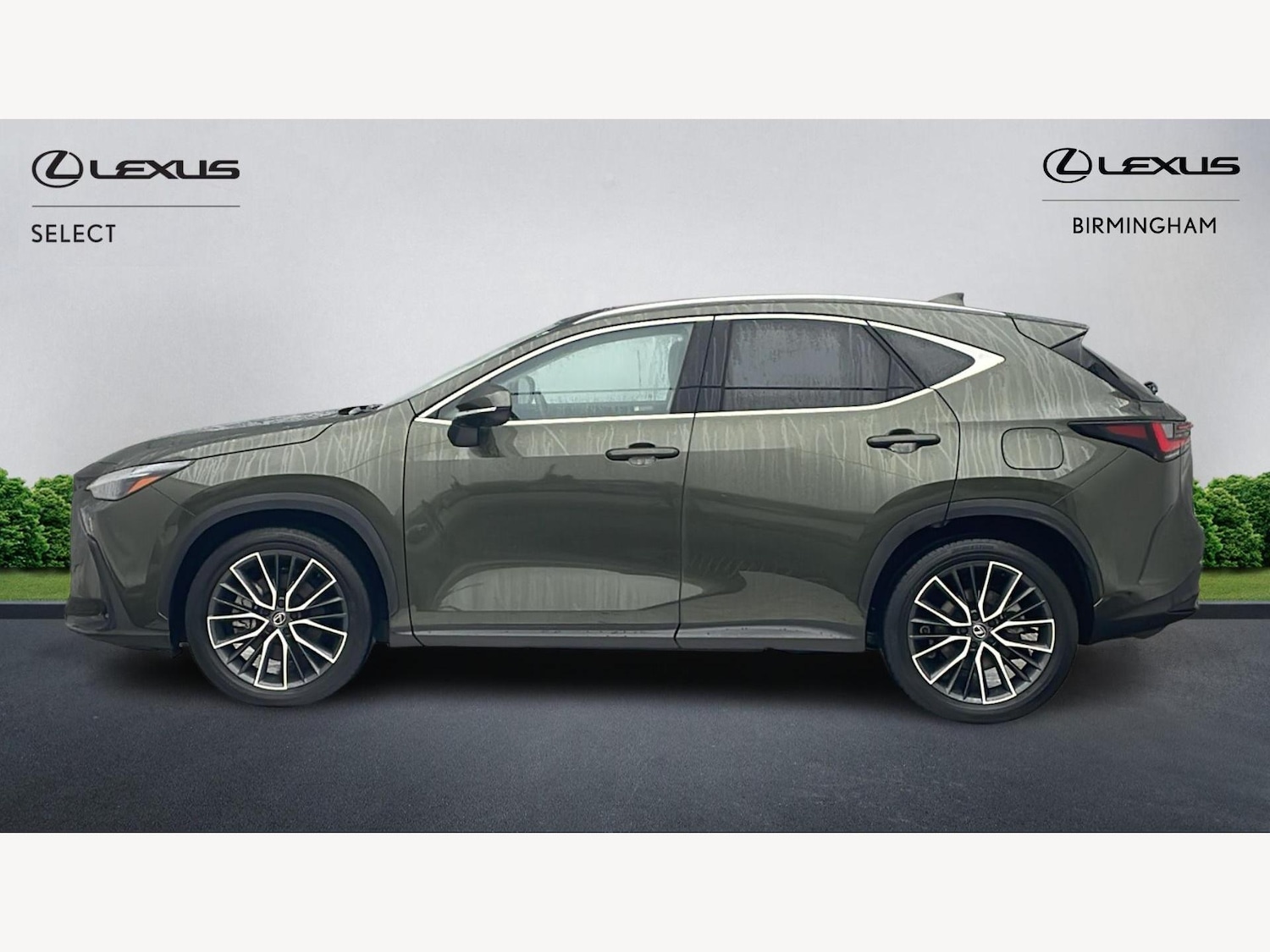 Used Lexus NX 2025 for sale - 77496381: Photo 3