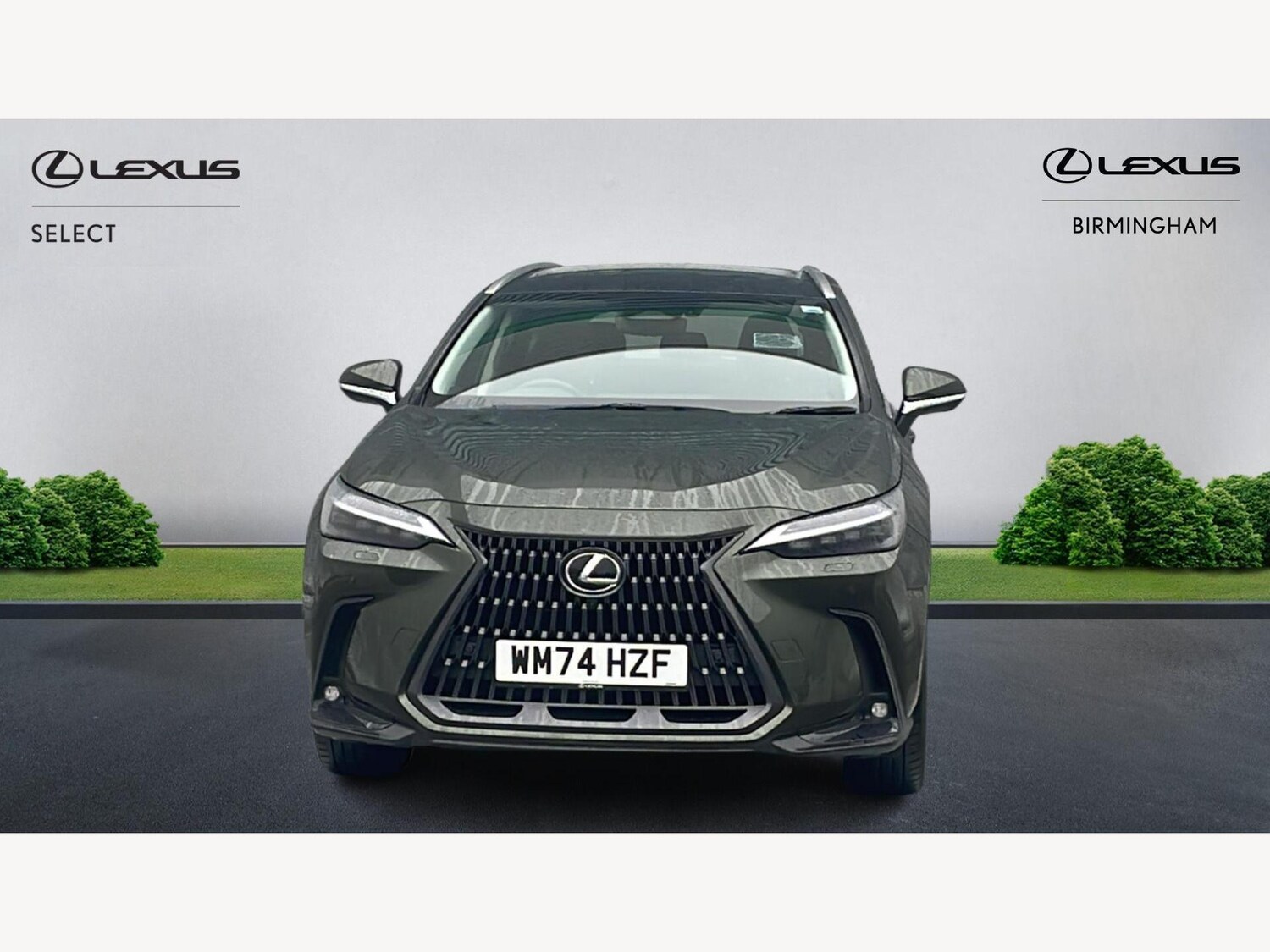 Used Lexus NX 2025 for sale - 77496381: Photo 6