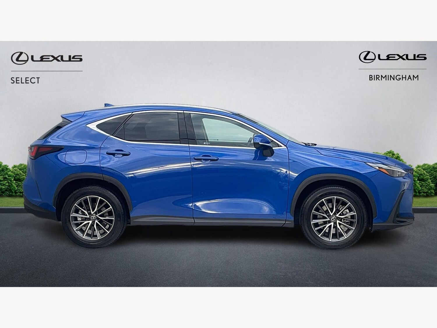 Used Lexus NX 2024 for sale - 76537797: Photo 18