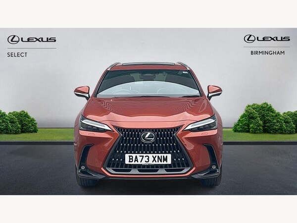 Used Lexus NX 2023 for sale - 75225660: Photo 6
