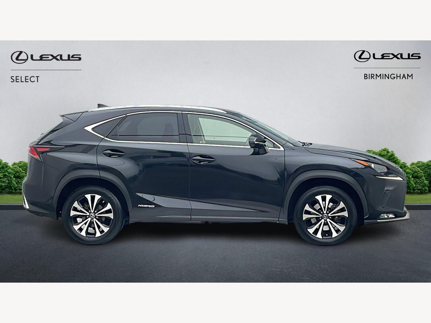 Used Lexus NX for sale - 77768312: Photo 18