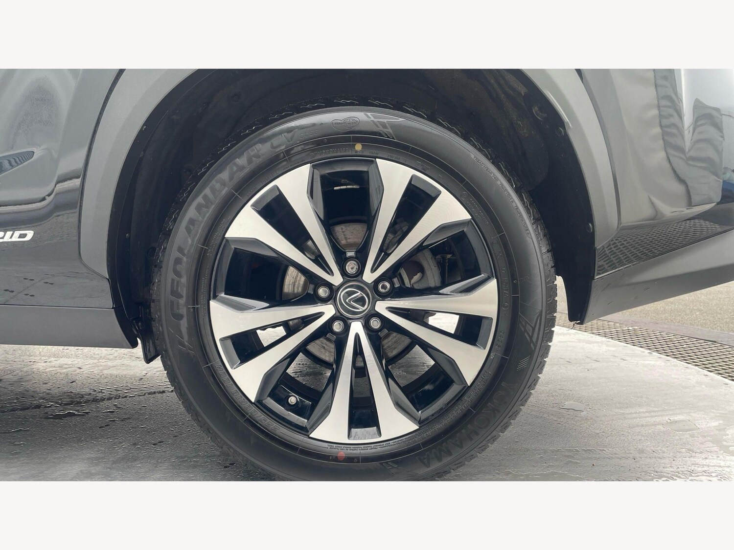 Used Lexus NX for sale - 77768312: Photo 21