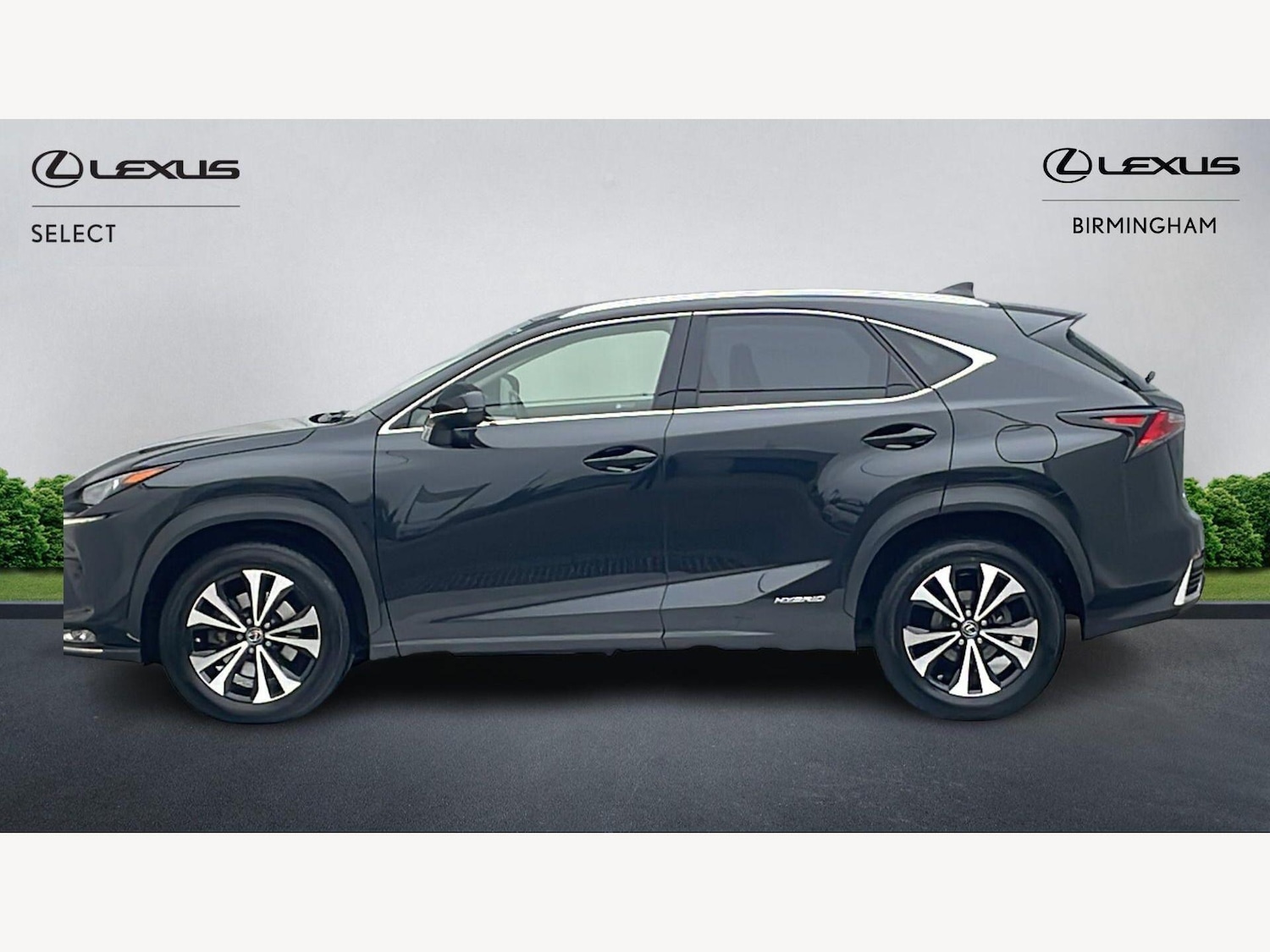 Used Lexus NX for sale - 77768312: Photo 3