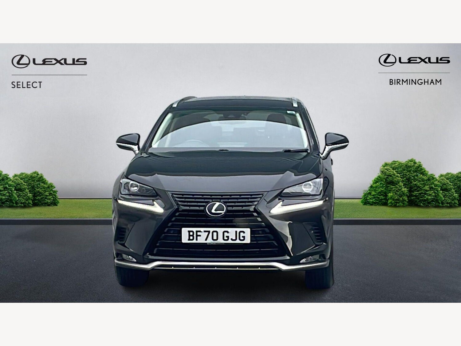 Used Lexus NX for sale - 77768312: Photo 6