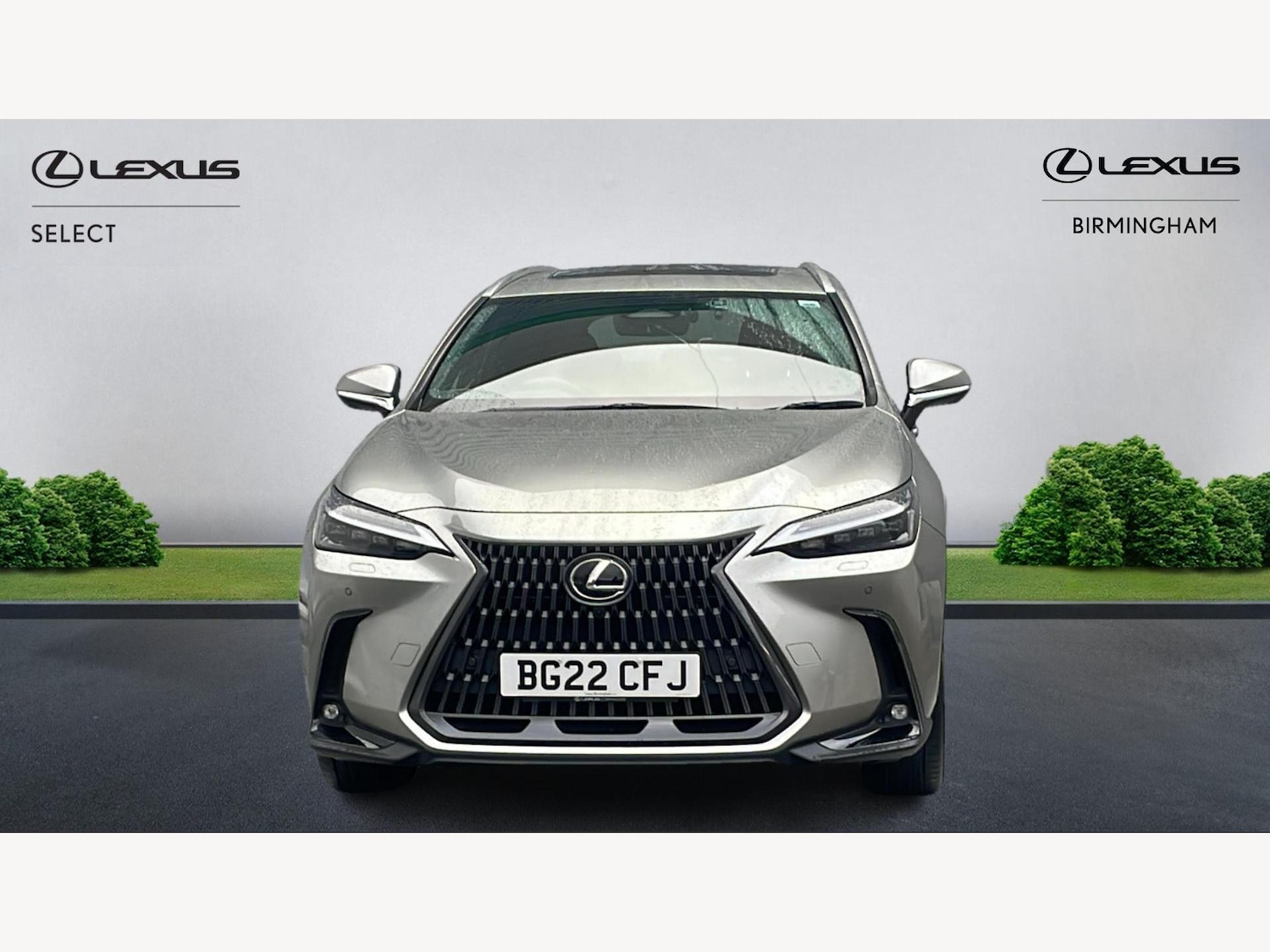 Used Lexus NX 2022 for sale - 77130734: Photo 6