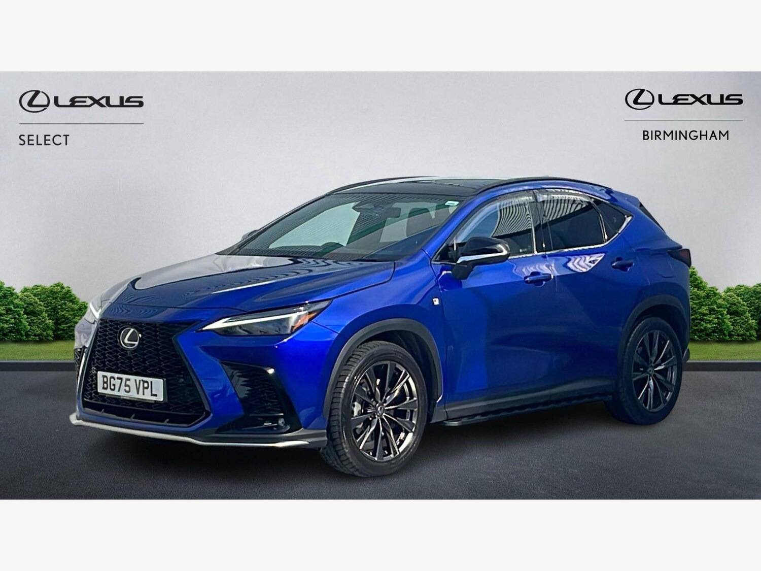Used Lexus NX 2025 for sale - 77924807: Photo 19
