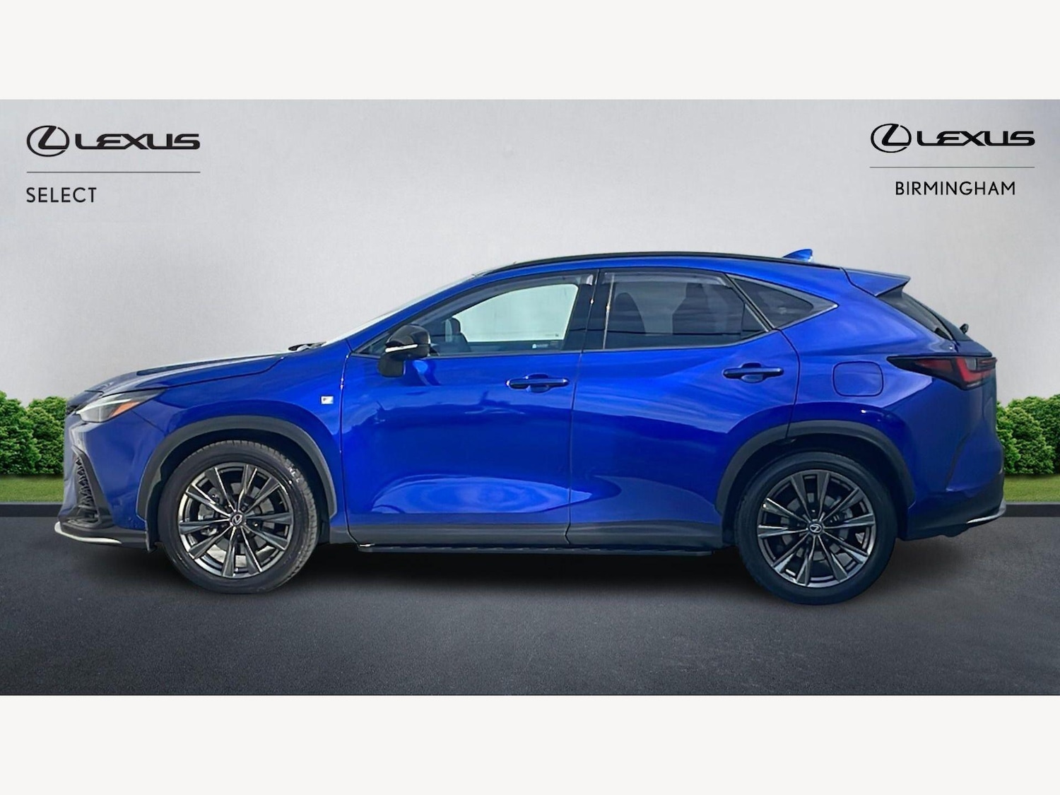 Used Lexus NX 2025 for sale - 77924807: Photo 3