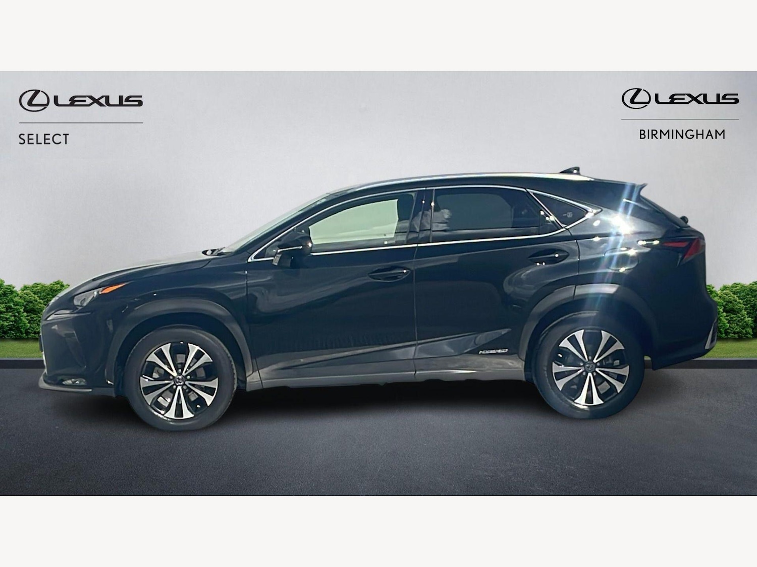 Used Lexus NX 2021 for sale - 78148118: Photo 5
