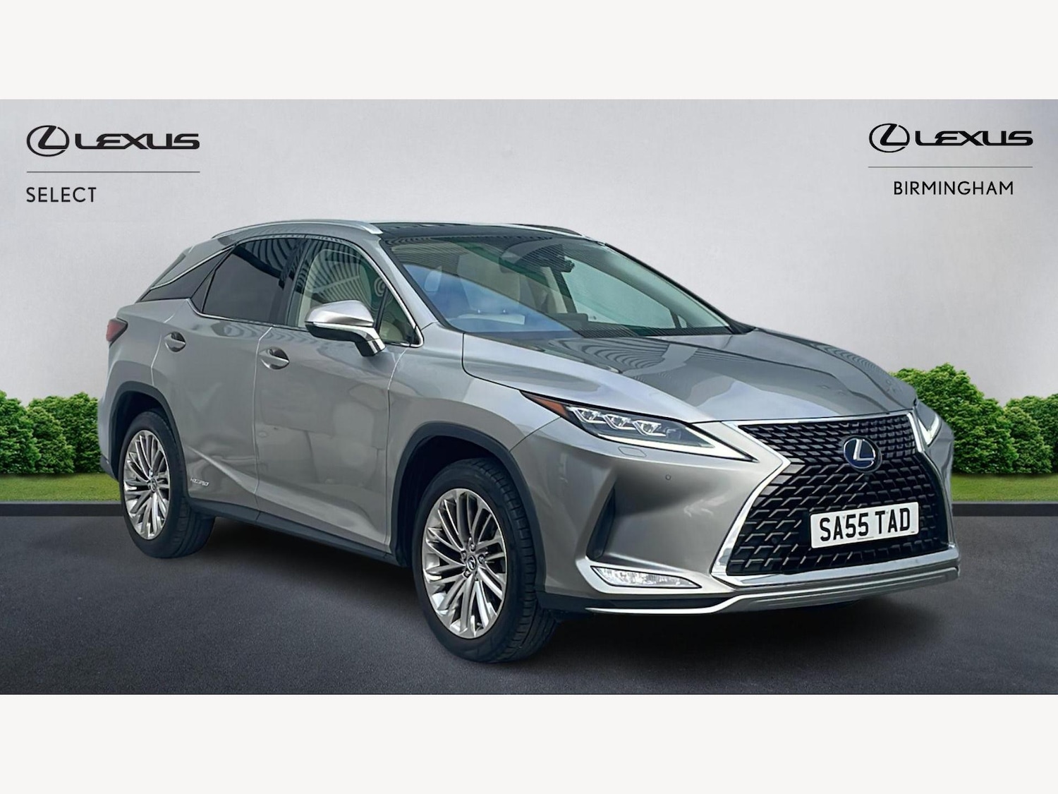 Used Lexus RX for sale - 76423948: Photo 1