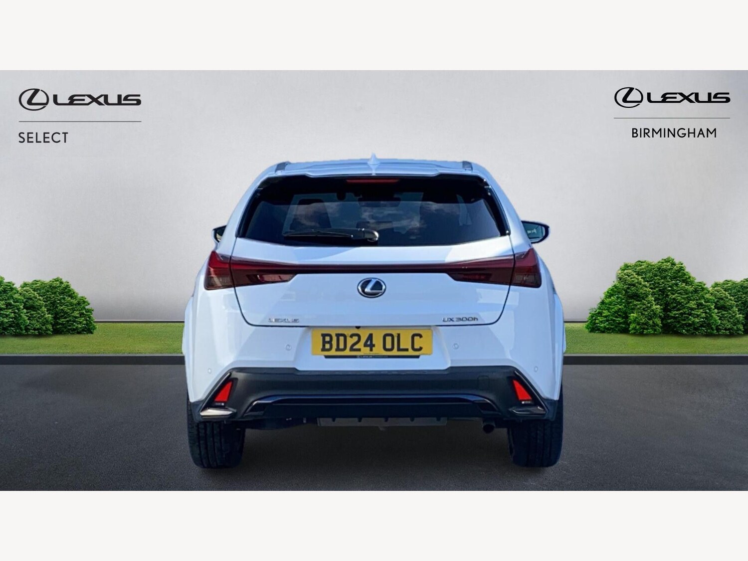 Used Lexus UX 2024 for sale - 77574918: Photo 7
