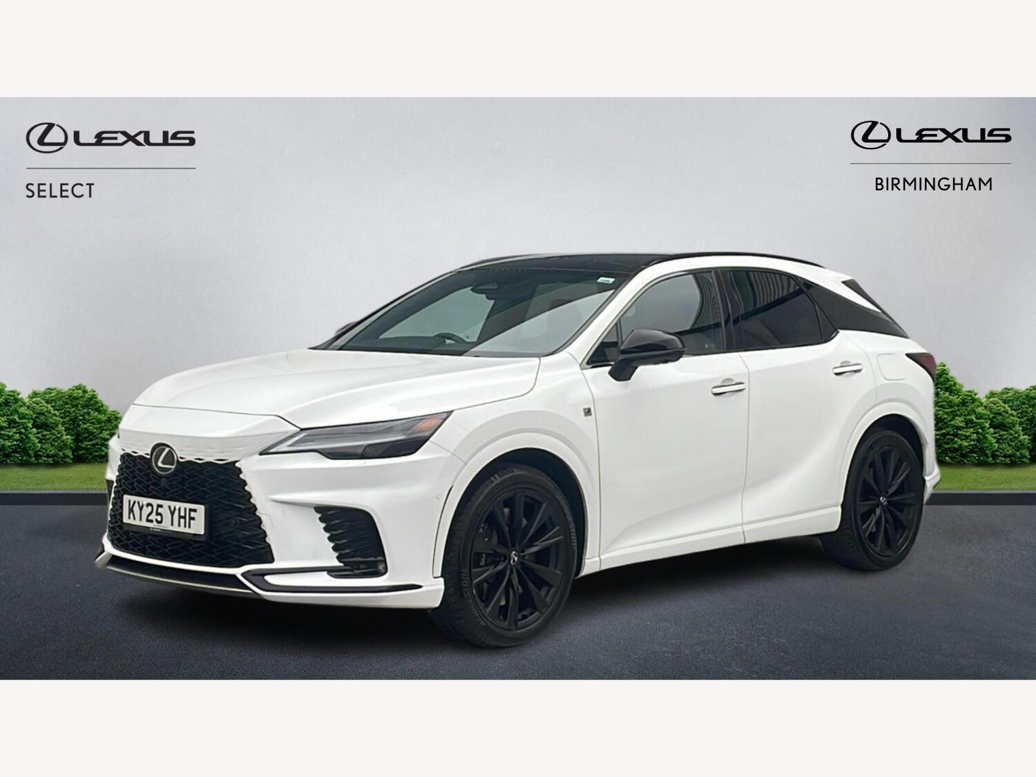 Used Lexus RX for sale - 77425287: Photo 19