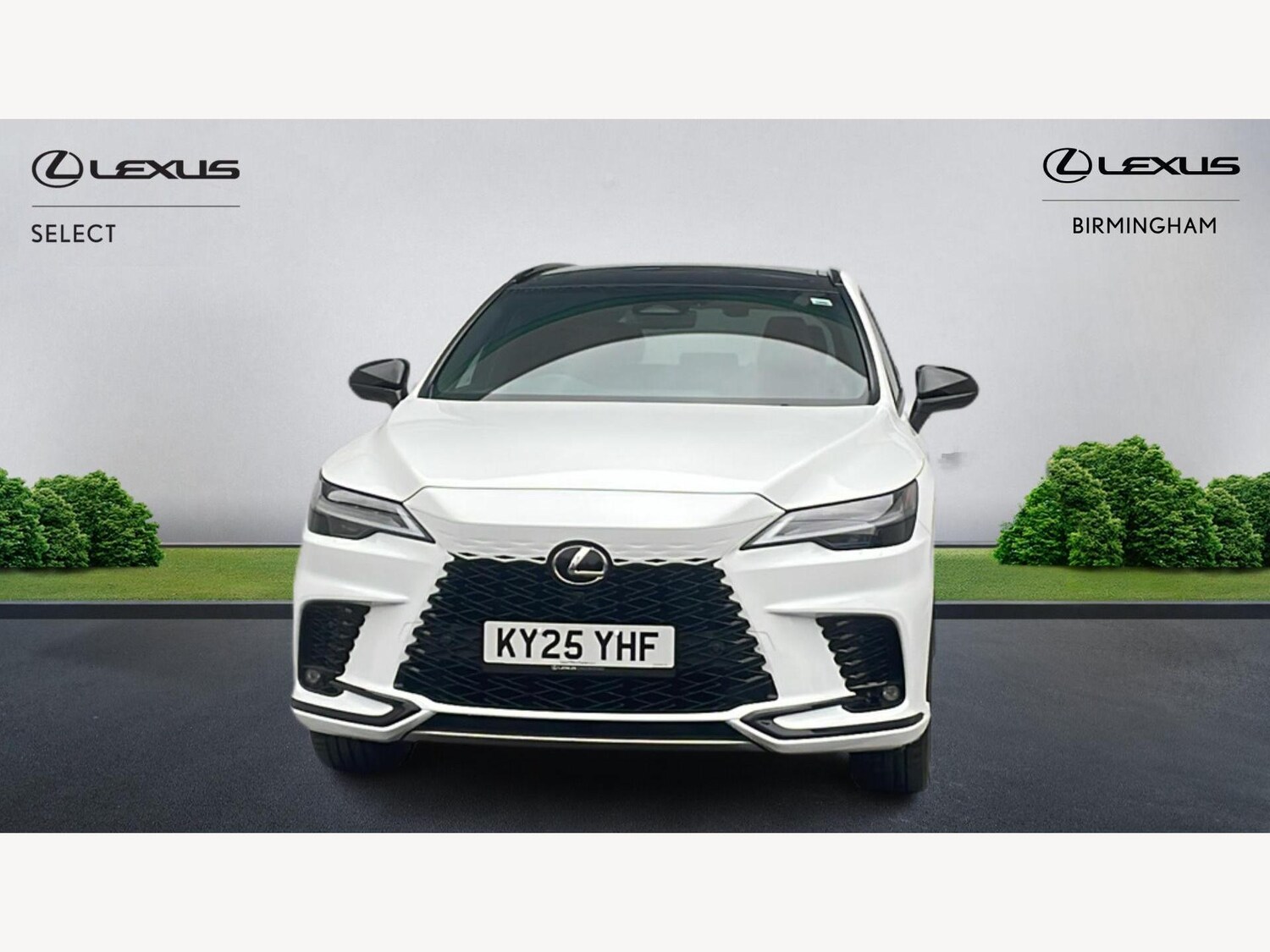 Used Lexus RX for sale - 77425287: Photo 6