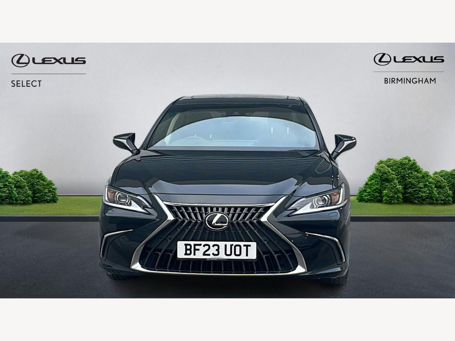 Used Lexus ES 2023 for sale - 77768947: Photo 6