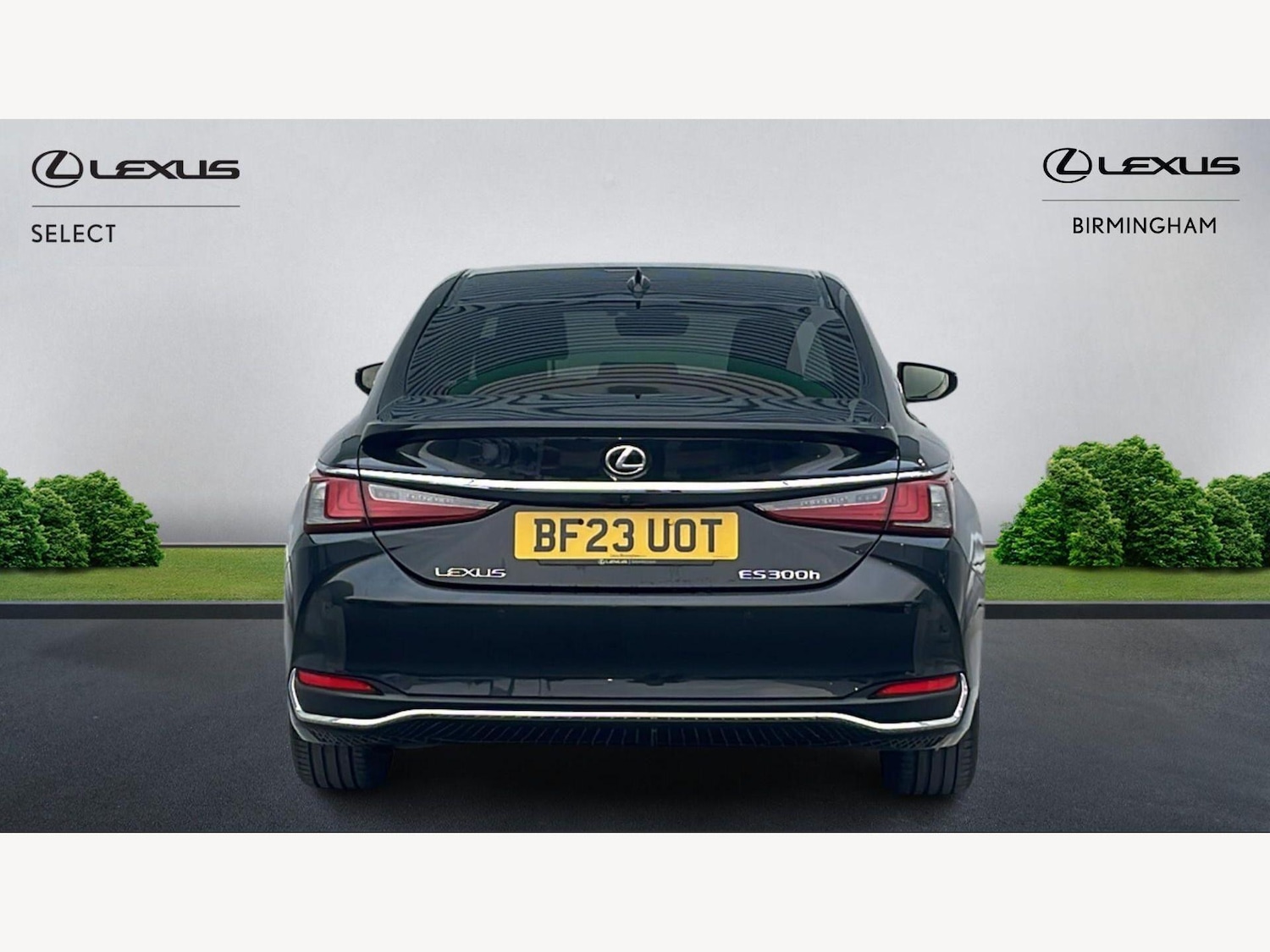 Used Lexus ES 2023 for sale - 77768947: Photo 7