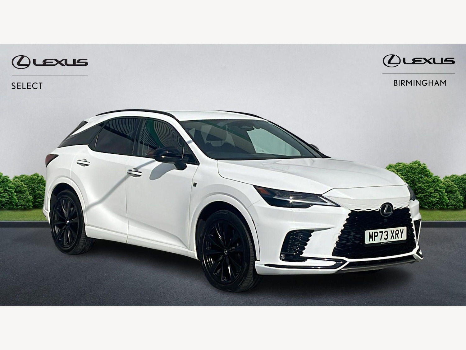 Used Lexus RX for sale - 78220191: Photo 1