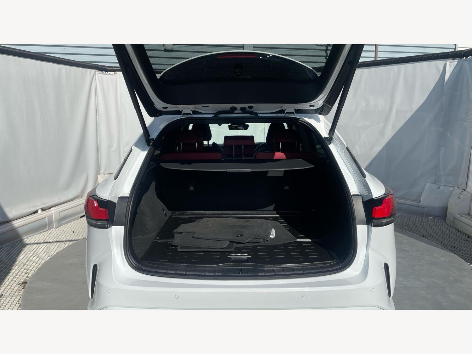 Used Lexus RX for sale - 78220191: Photo 17