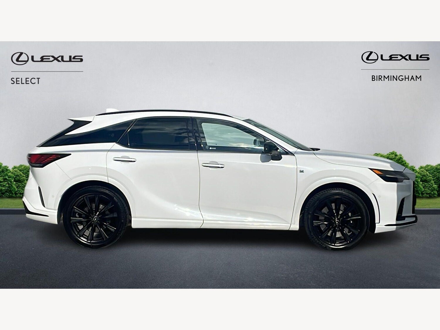 Used Lexus RX for sale - 78220191: Photo 26