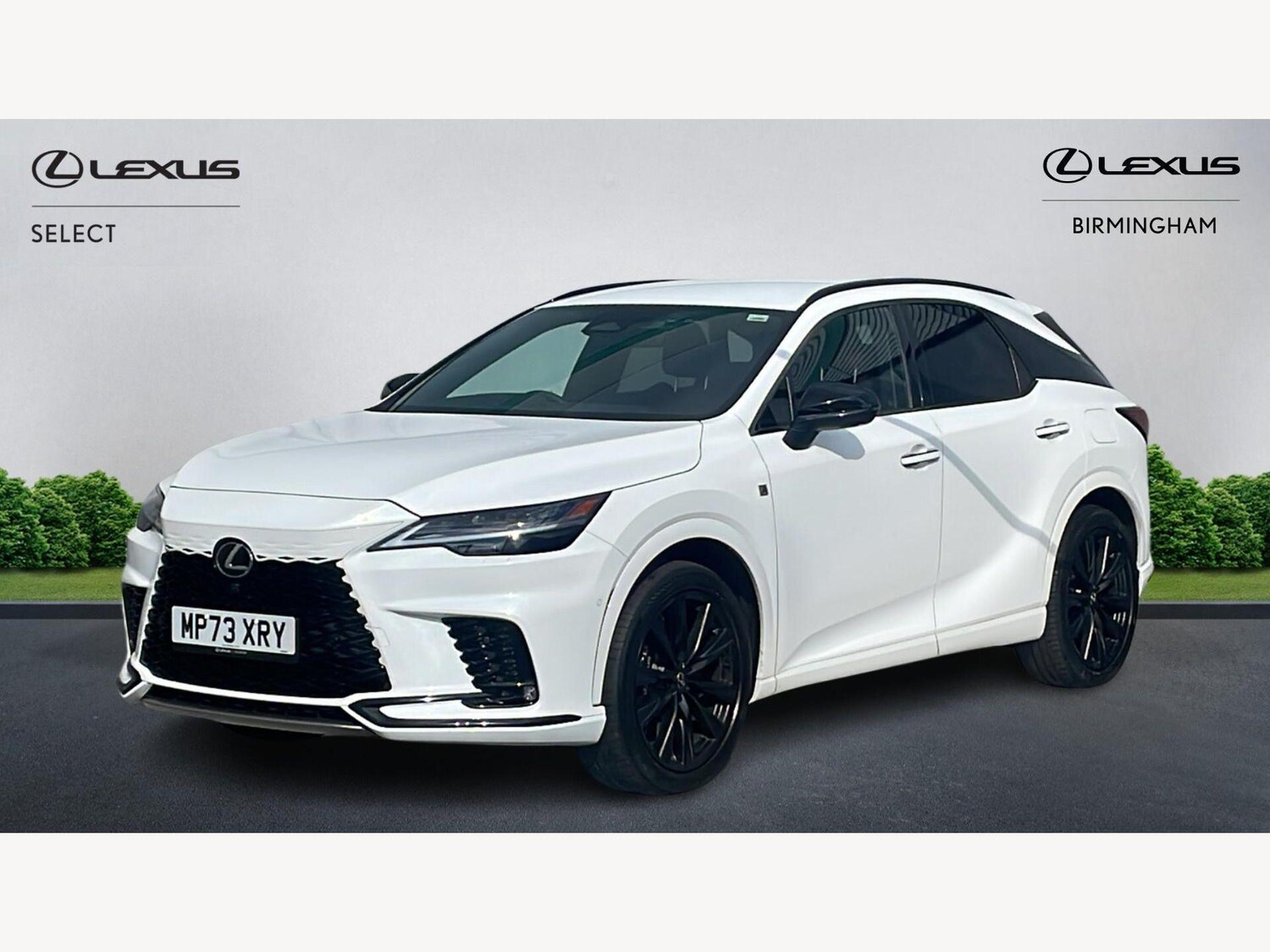 Used Lexus RX for sale - 78220191: Photo 29