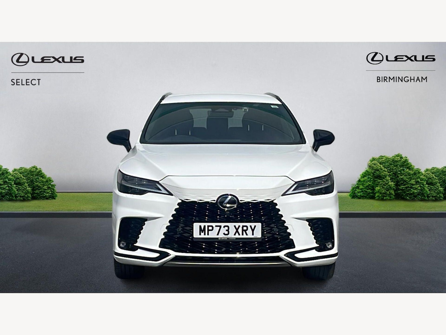 Used Lexus RX for sale - 78220191: Photo 6