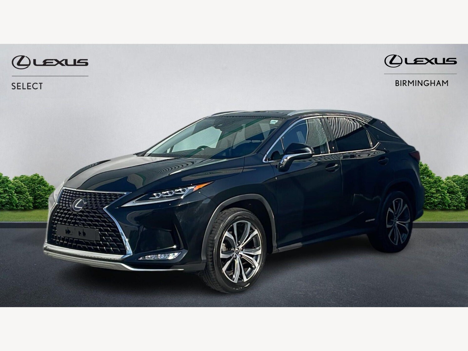 Used Lexus RX for sale - 77769349: Photo 19
