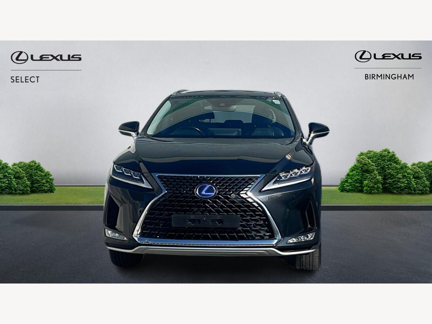 Used Lexus RX for sale - 77769349: Photo 6