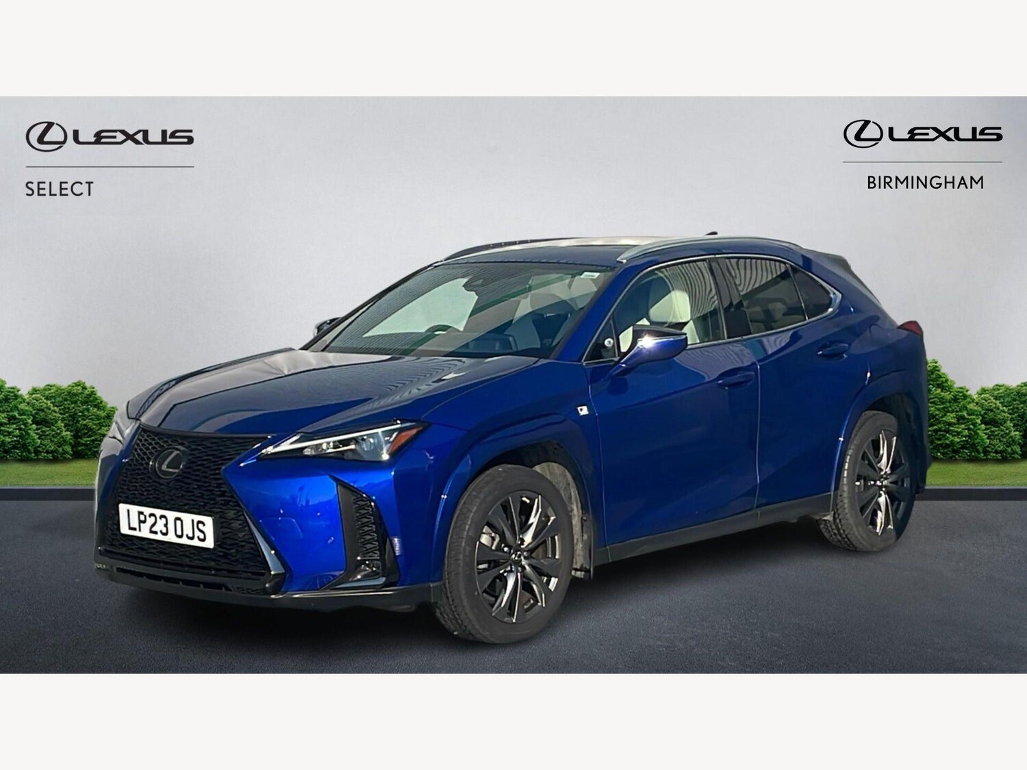 Used Lexus UX for sale - 77768218: Photo 19