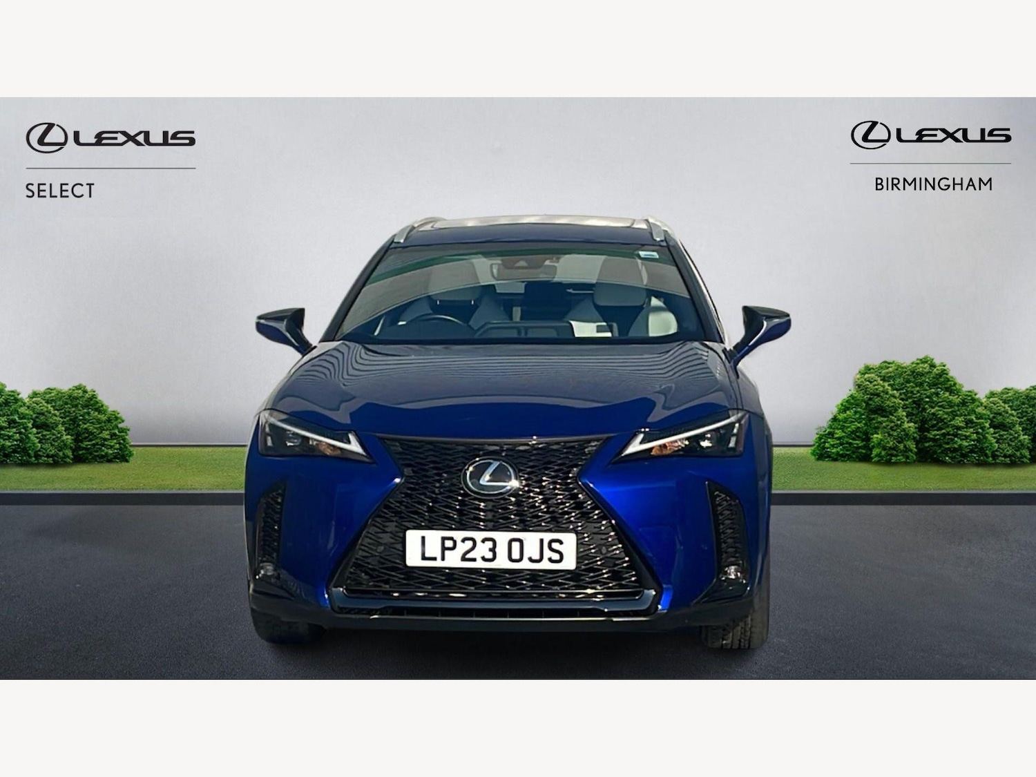 Used Lexus UX for sale - 77768218: Photo 6