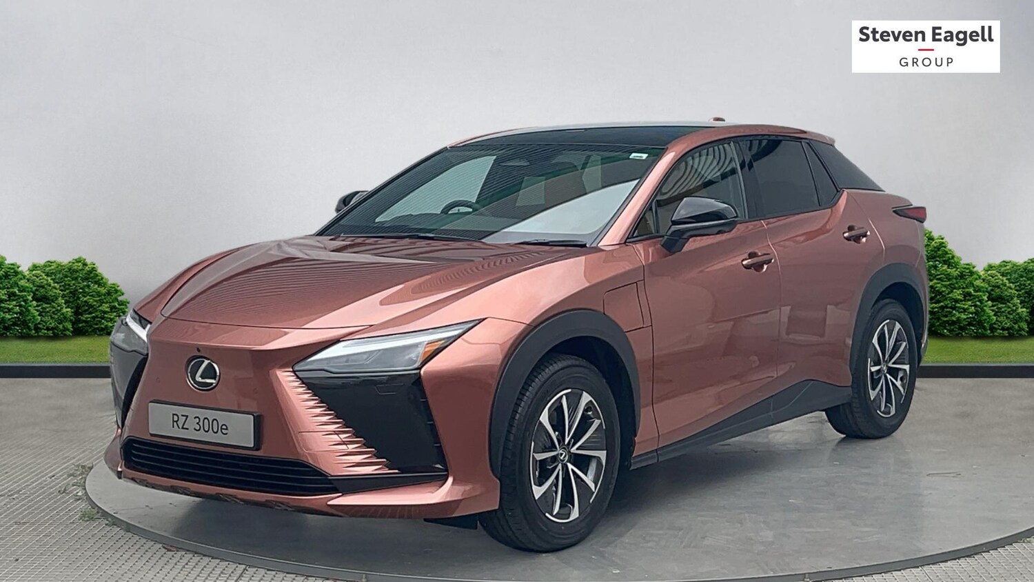 Used Lexus RZ 2025 for sale - 77564758: Photo 17