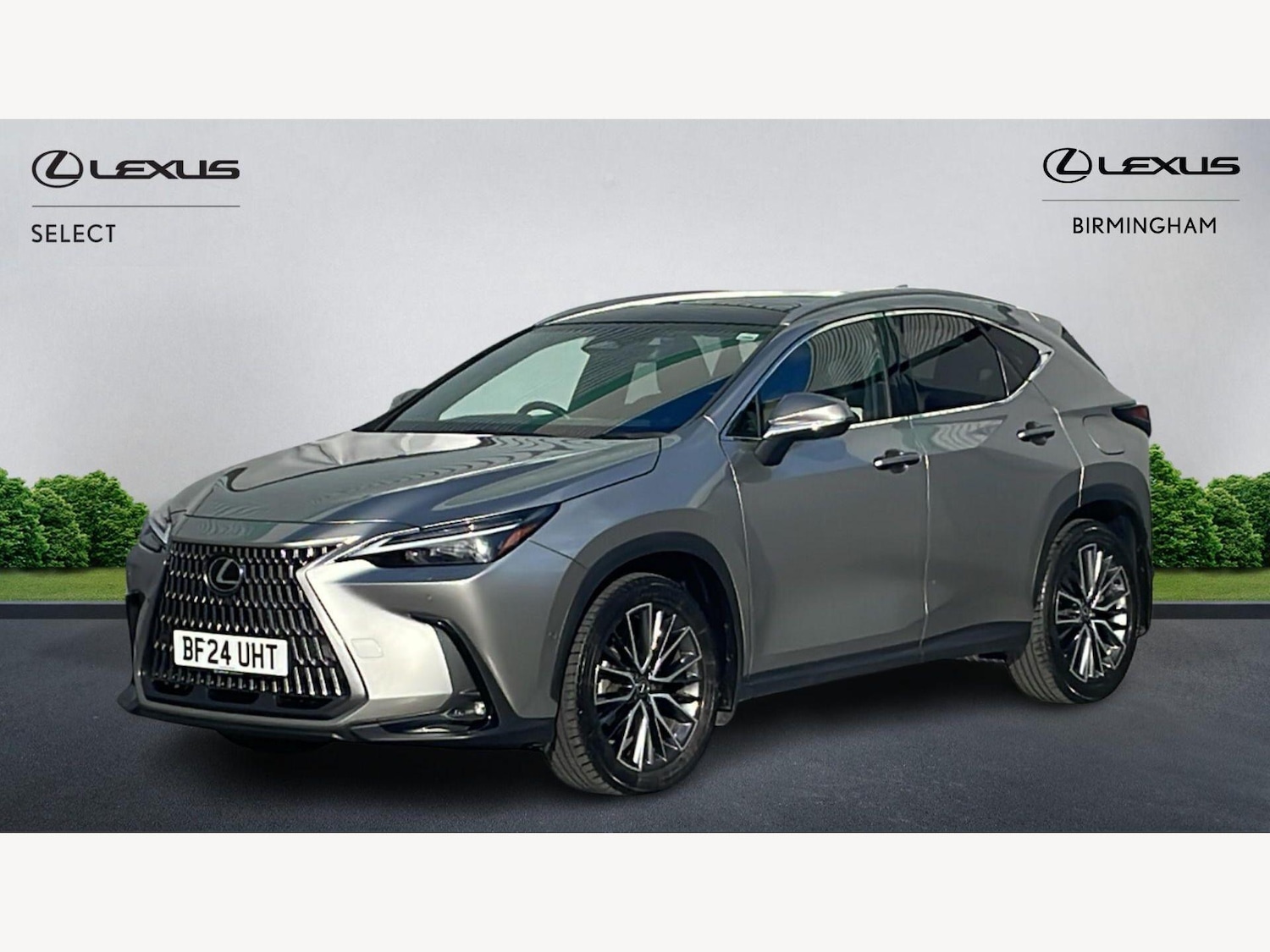 Used Lexus NX 2024 for sale - 77898194: Photo 19