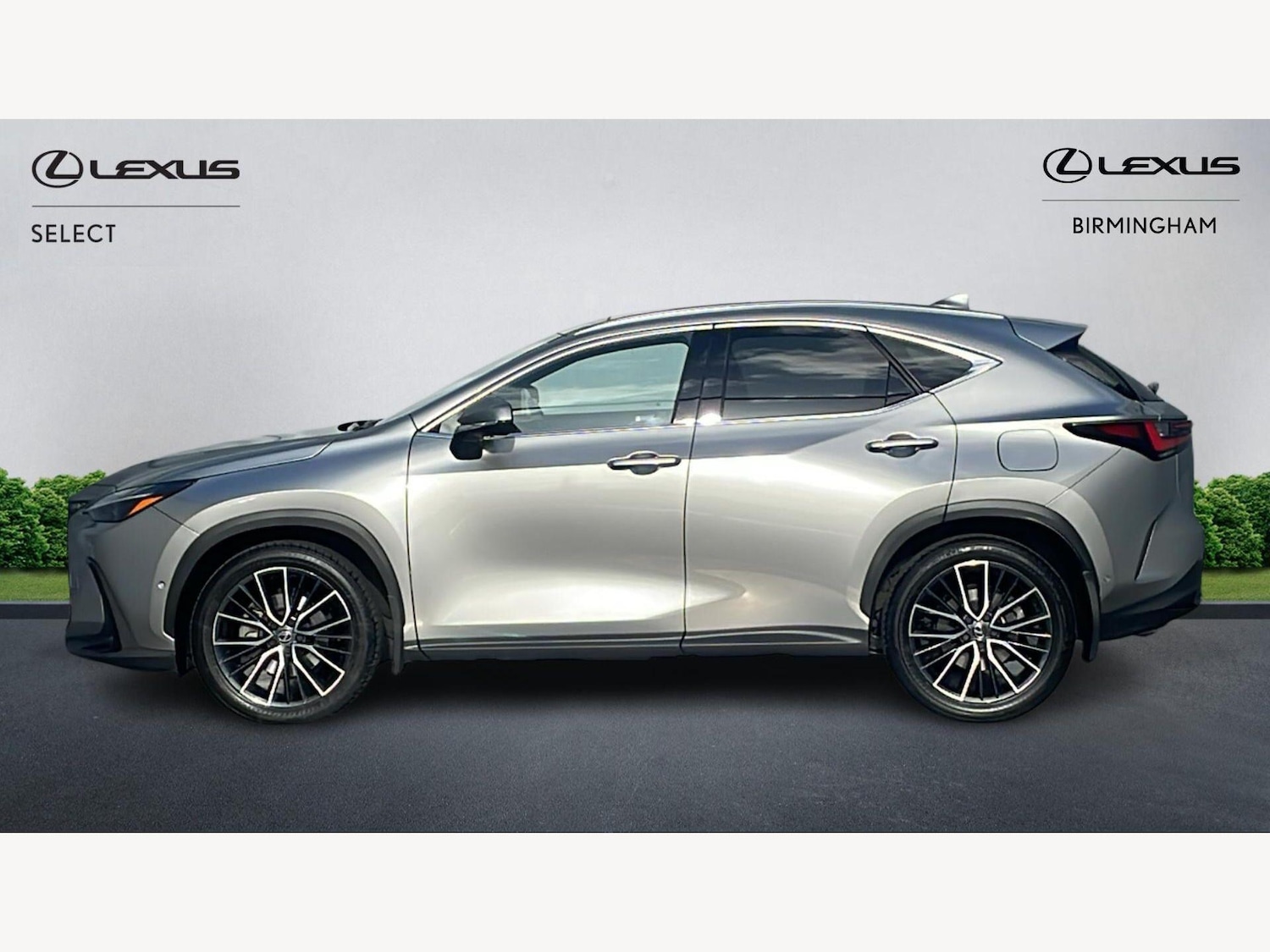 Used Lexus NX 2024 for sale - 77898194: Photo 3