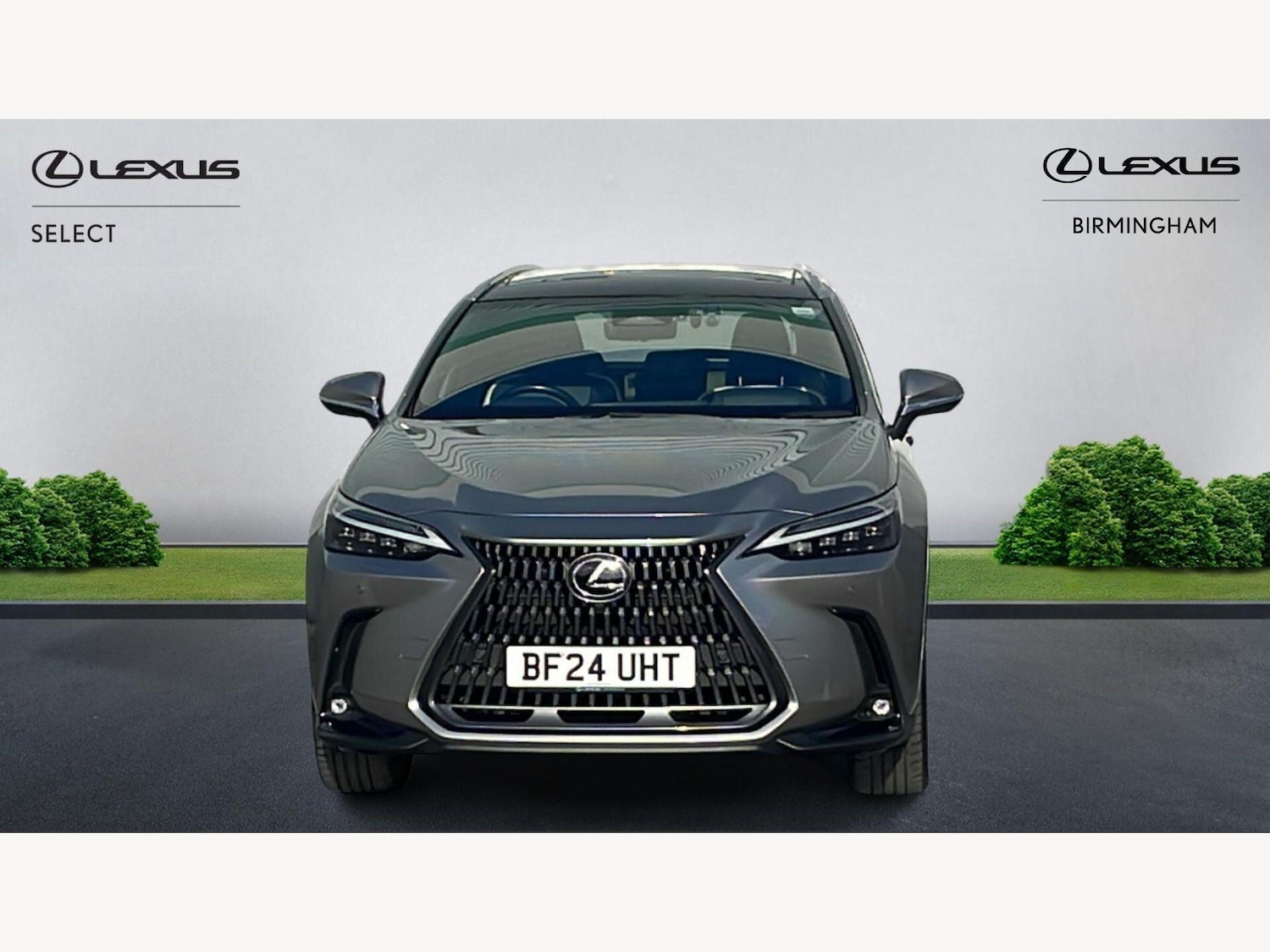 Used Lexus NX 2024 for sale - 77898194: Photo 6