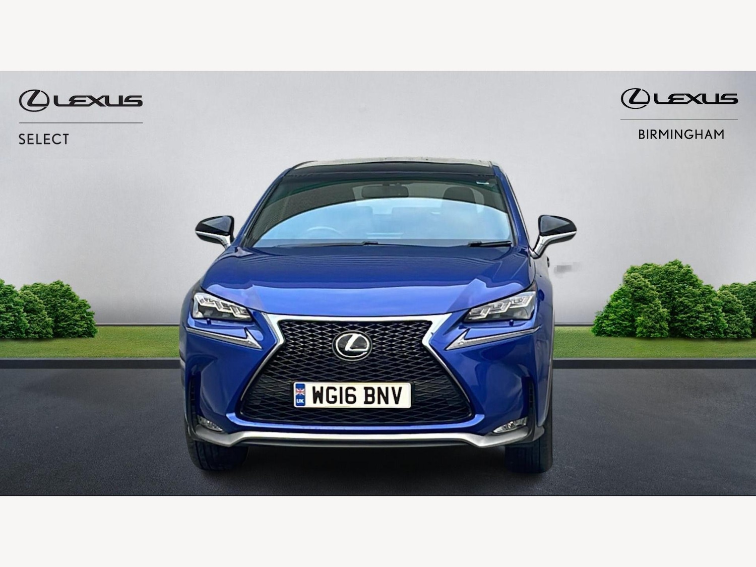 Used Lexus NX 2016 for sale - 77625755: Photo 6