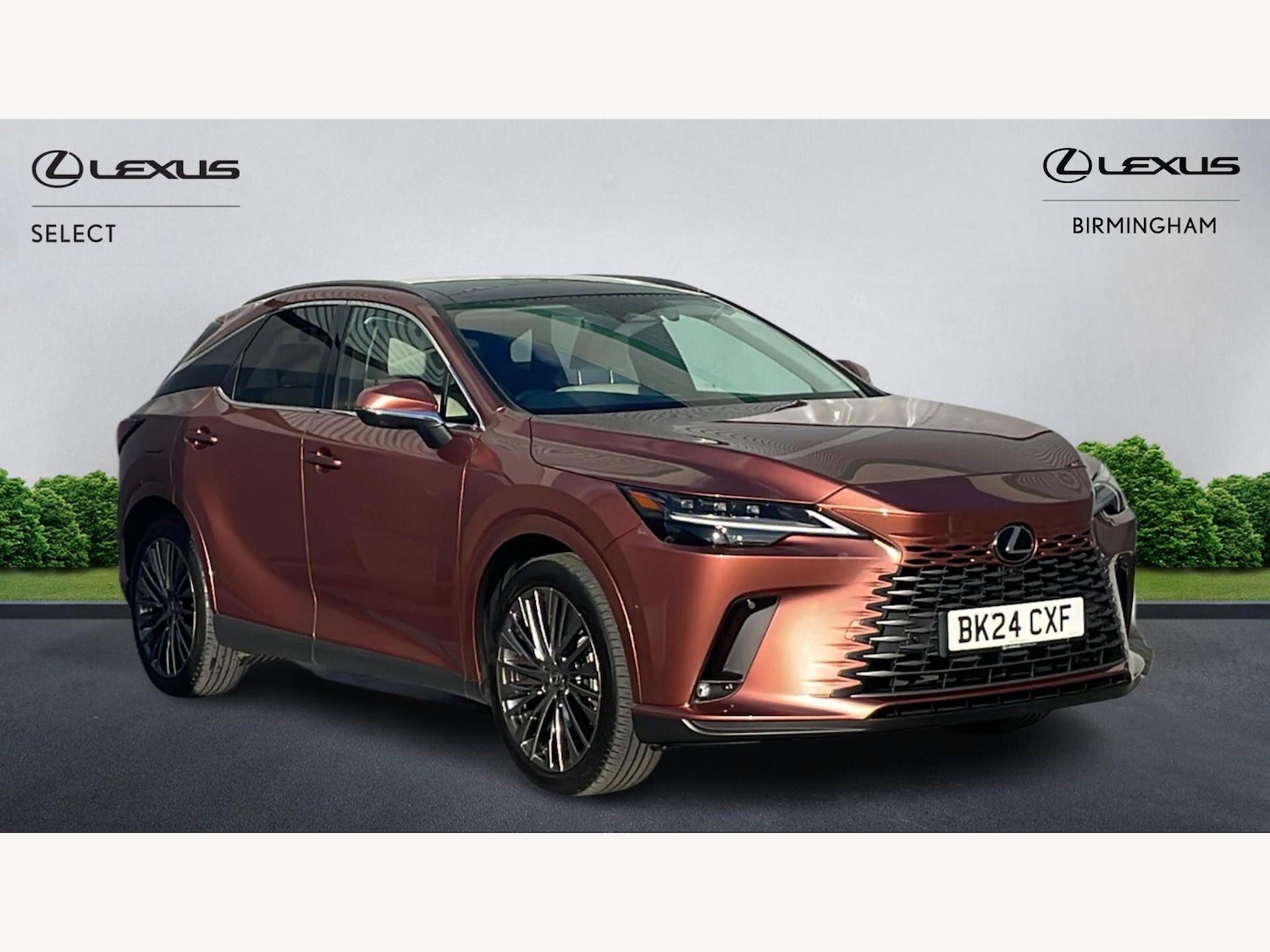 Used Lexus RX 2024 for sale - 77898198: Photo 1