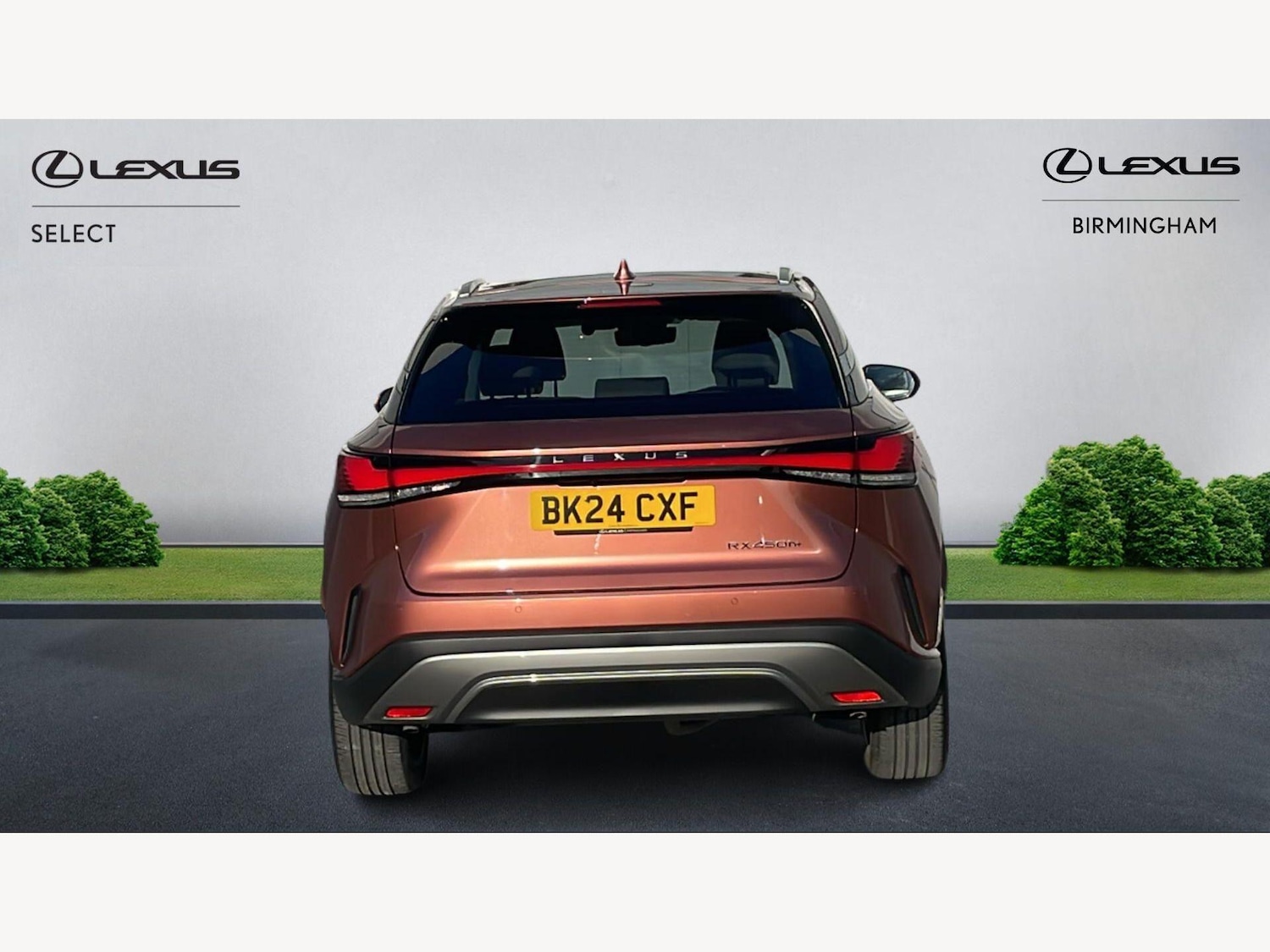 Used Lexus RX 2024 for sale - 77898198: Photo 7