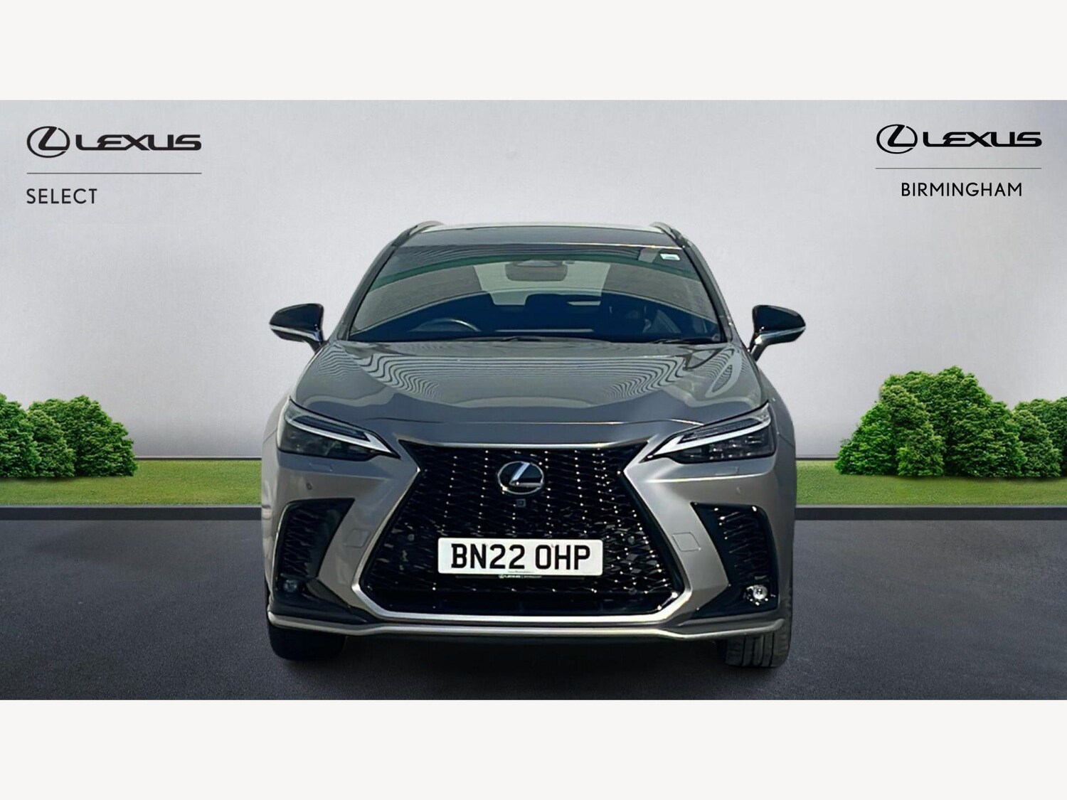 Used Lexus NX 2022 for sale - 77939449: Photo 6