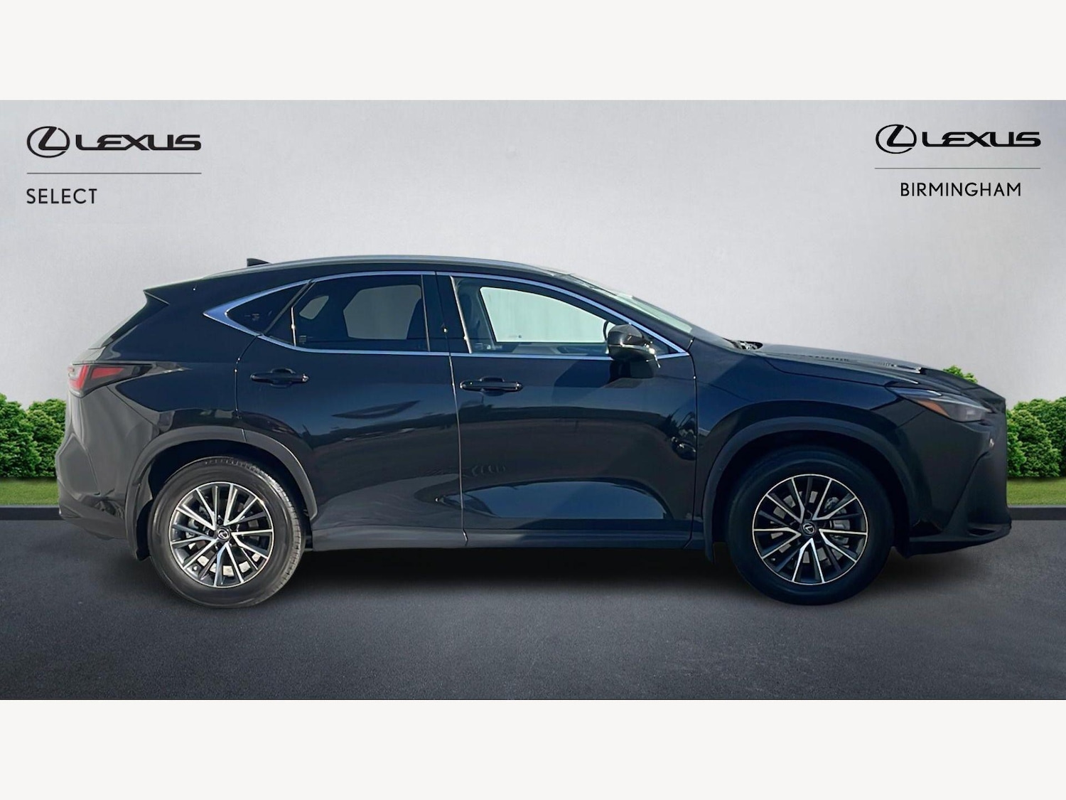 Used Lexus NX 2023 for sale - 77977912: Photo 18