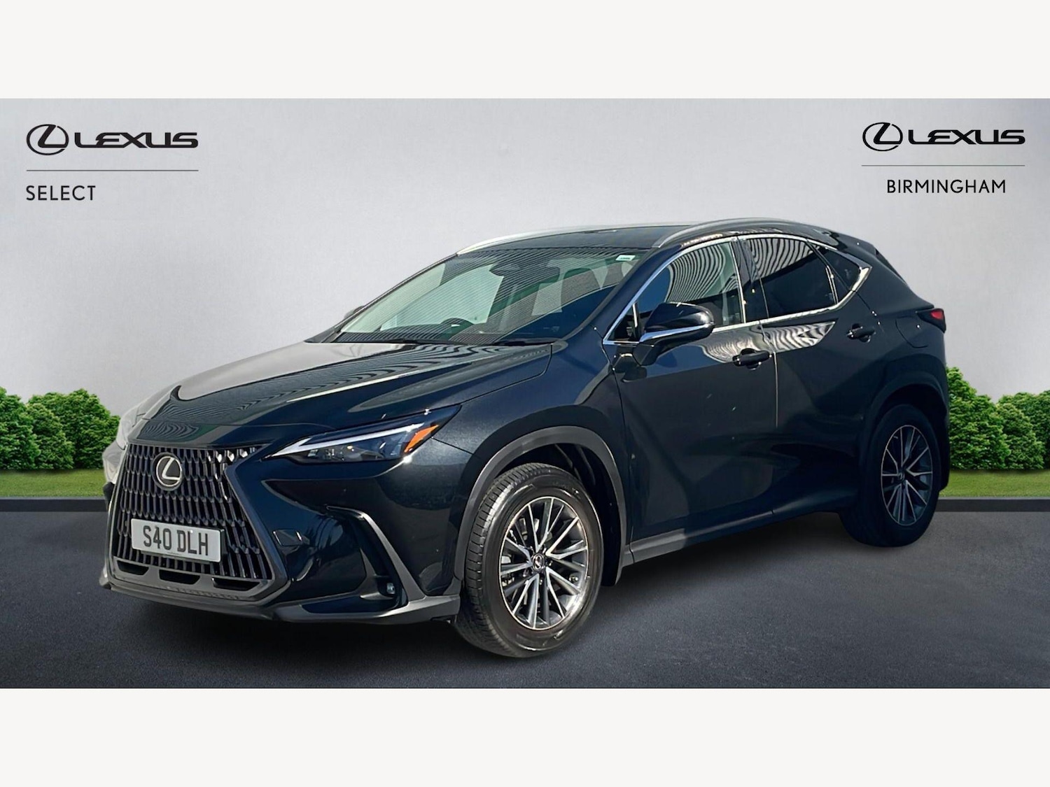 Used Lexus NX 2023 for sale - 77977912: Photo 19