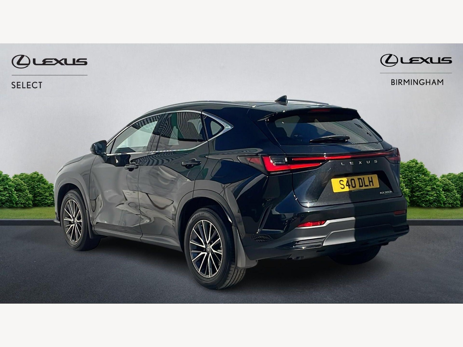 Used Lexus NX 2023 for sale - 77977912: Photo 2