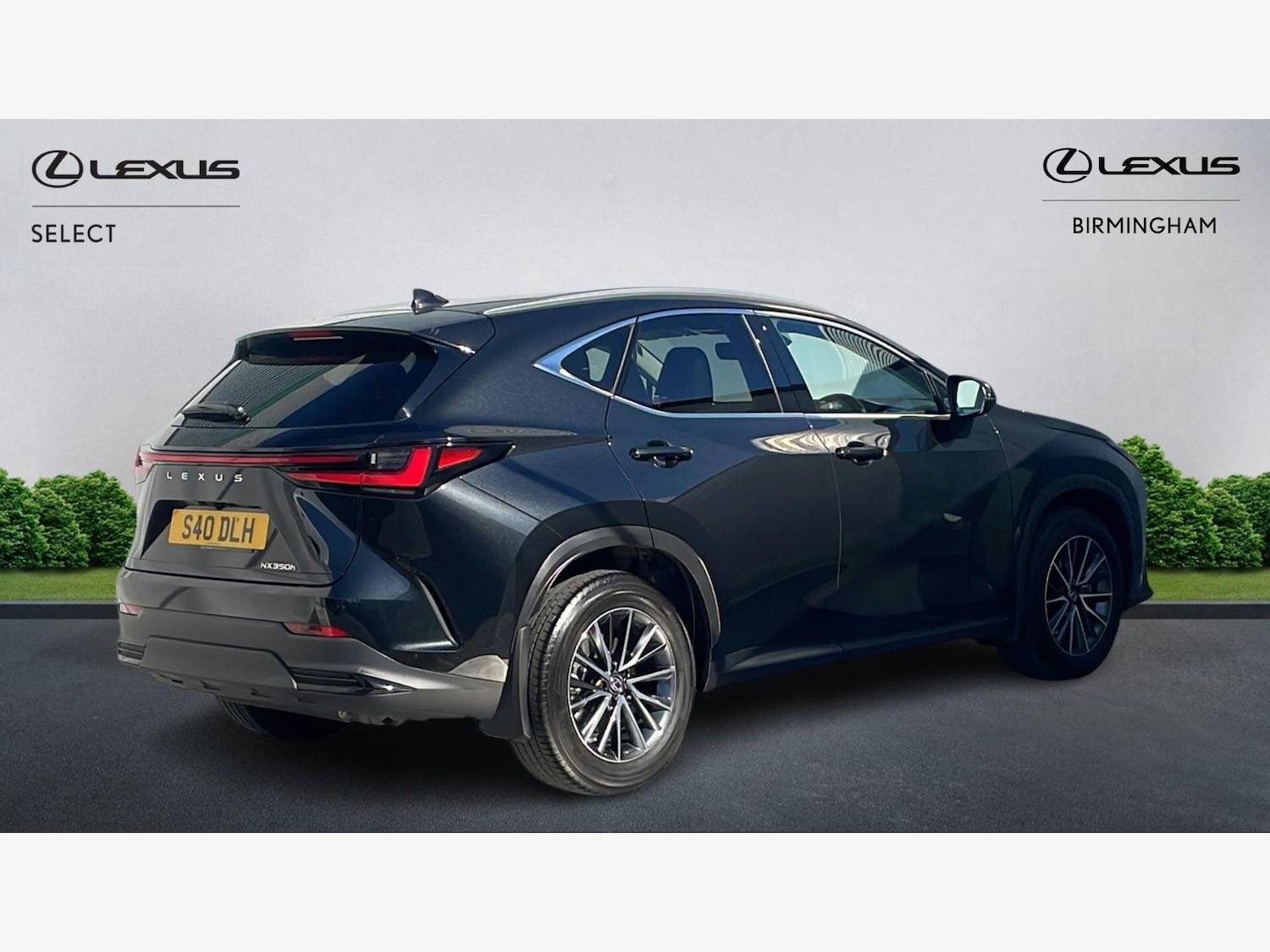 Used Lexus NX 2023 for sale - 77977912: Photo 20