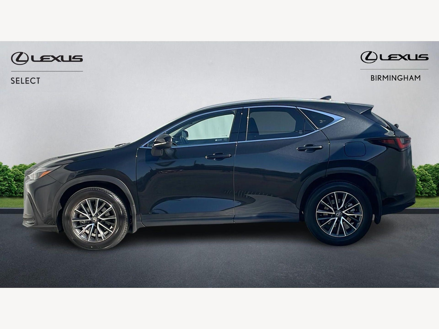Used Lexus NX 2023 for sale - 77977912: Photo 3
